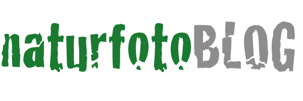 naturfotoBLOG
