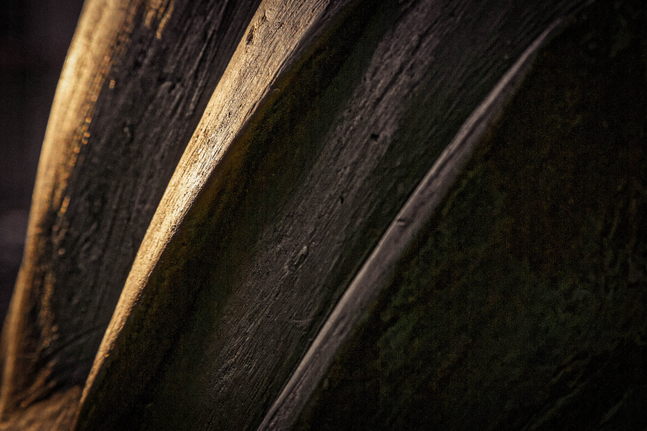 Das Bild zeigt eine Nahaufnahme der dunklen, texturierten Rinde eines Baumes. Das Licht der untergehenden Sonne beleuchtet die Oberfläche und erzeugt einen warmen, goldenen Schein. Die Rinde weist deutliche Vertiefungen und Unebenheiten auf, die ihre natürliche Struktur hervorheben. Die Komposition ist minimalistisch und konzentriert sich auf die Details der Baumrinde. Der Hintergrund ist unscharf und dunkel, was die Aufmerksamkeit auf das Hauptmotiv lenkt. Die Farbpalette ist überwiegend warm, mit dunklen Brauntönen und goldenen Akzenten. Das Bild vermittelt ein Gefühl von Ruhe und Natürlichkeit.