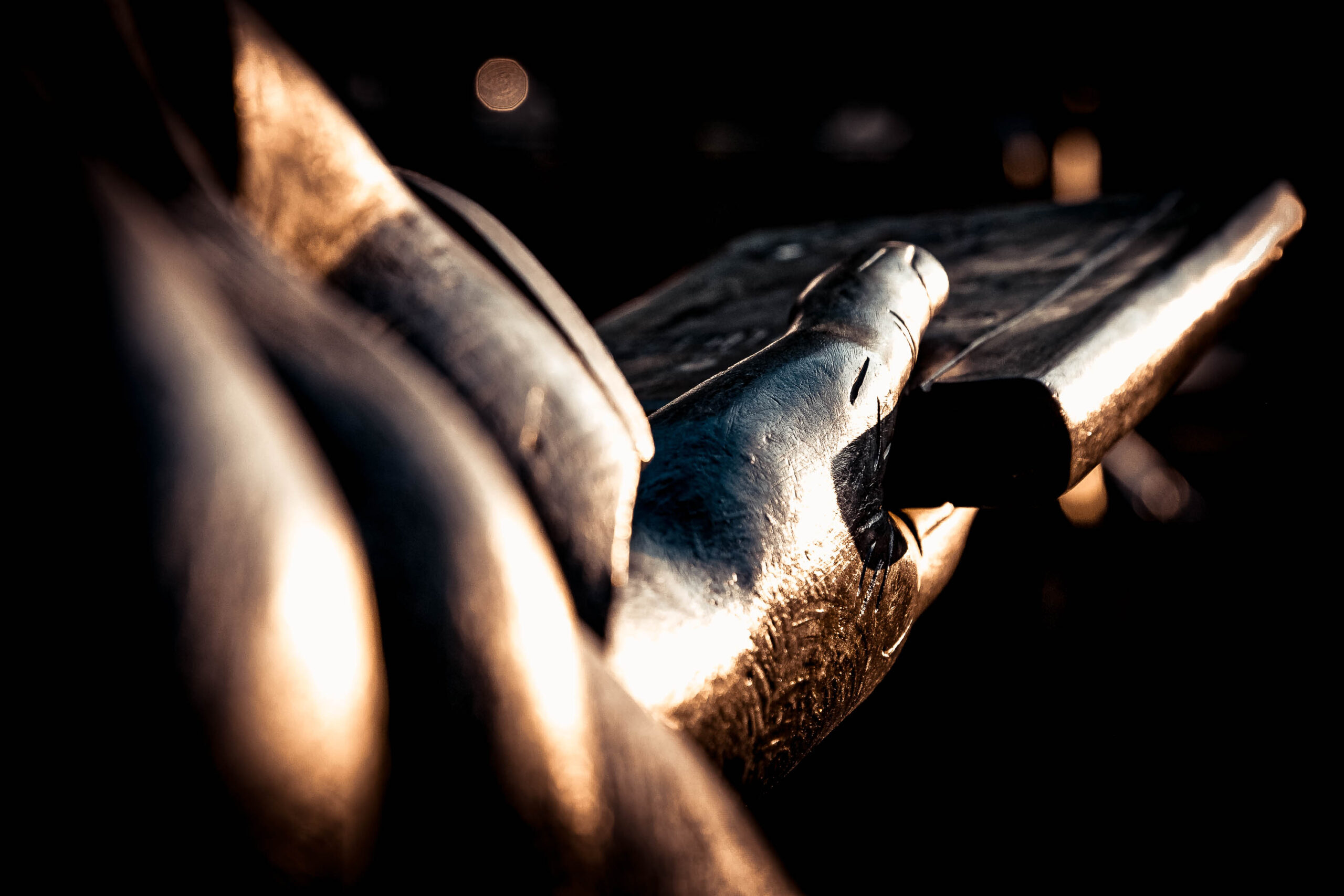 Das Bild zeigt eine dramatische Nahaufnahme eines bronzenen Pferdekopfes, vermutlich Teil einer Skulptur oder eines Monuments. Die Beleuchtung ist stark kontrastiert, wobei das Metall des Pferdekopfes in einem goldenen Schein erstrahlt, während der Hintergrund in tiefes Schwarz getaucht ist. Ein Euro-Münze liegt neben dem Pferdekopf, was die Größe des Objekts relativiert. Die Komposition betont die Ausdruckskraft des Pferdes und erzeugt eine fast theatralische Atmosphäre. Der dunkle Hintergrund lässt die Details des Pferdekopfes hervorstechen und verleiht dem Bild eine gewisse Mystik.