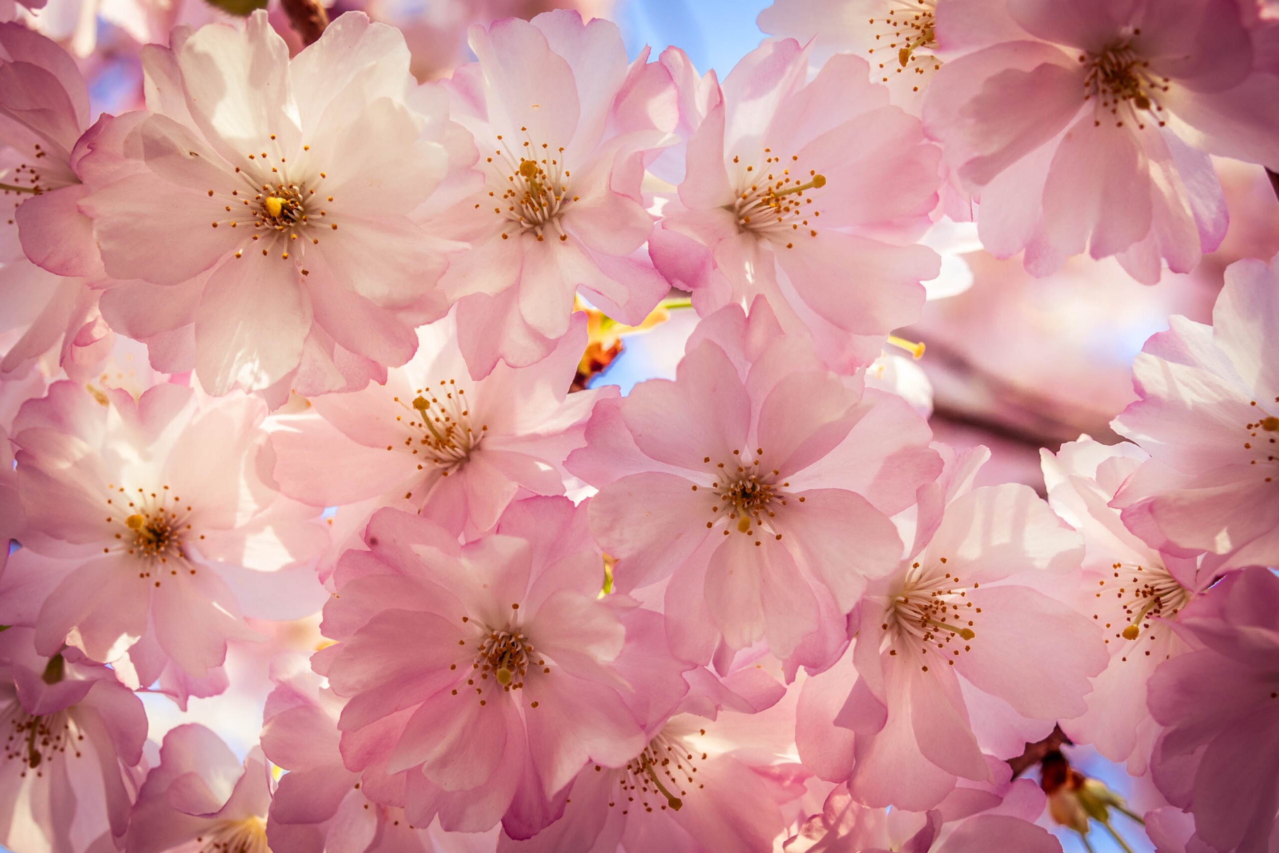 HannoverBlick trifft auf WalkTalk&Eat