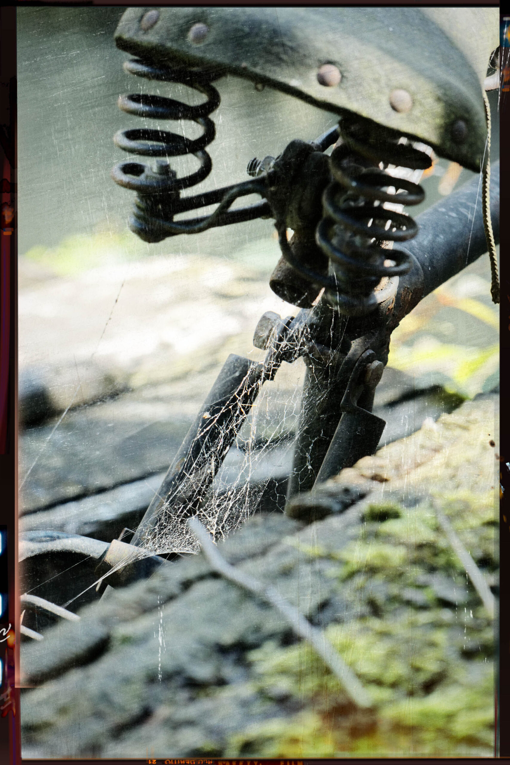 Das Bild zeigt eine Nahaufnahme eines Tigergeheges im Erlebniszoo Hannover. Der Fokus liegt auf einem Baumstumpf, auf dem ein Tiger sitzt. Der Tiger ist in der Mitte des Bildes platziert und blickt in die Kamera. Das Bild ist in warmen Farben gehalten und hat einen leicht verschwommenen Hintergrund. Die Beleuchtung ist weich und diffus, was eine ruhige und entspannte Atmosphäre schafft. Das Bild fängt die Schönheit und die Wildheit des Tieres ein und vermittelt dem Betrachter ein Gefühl der Nähe zur Natur.