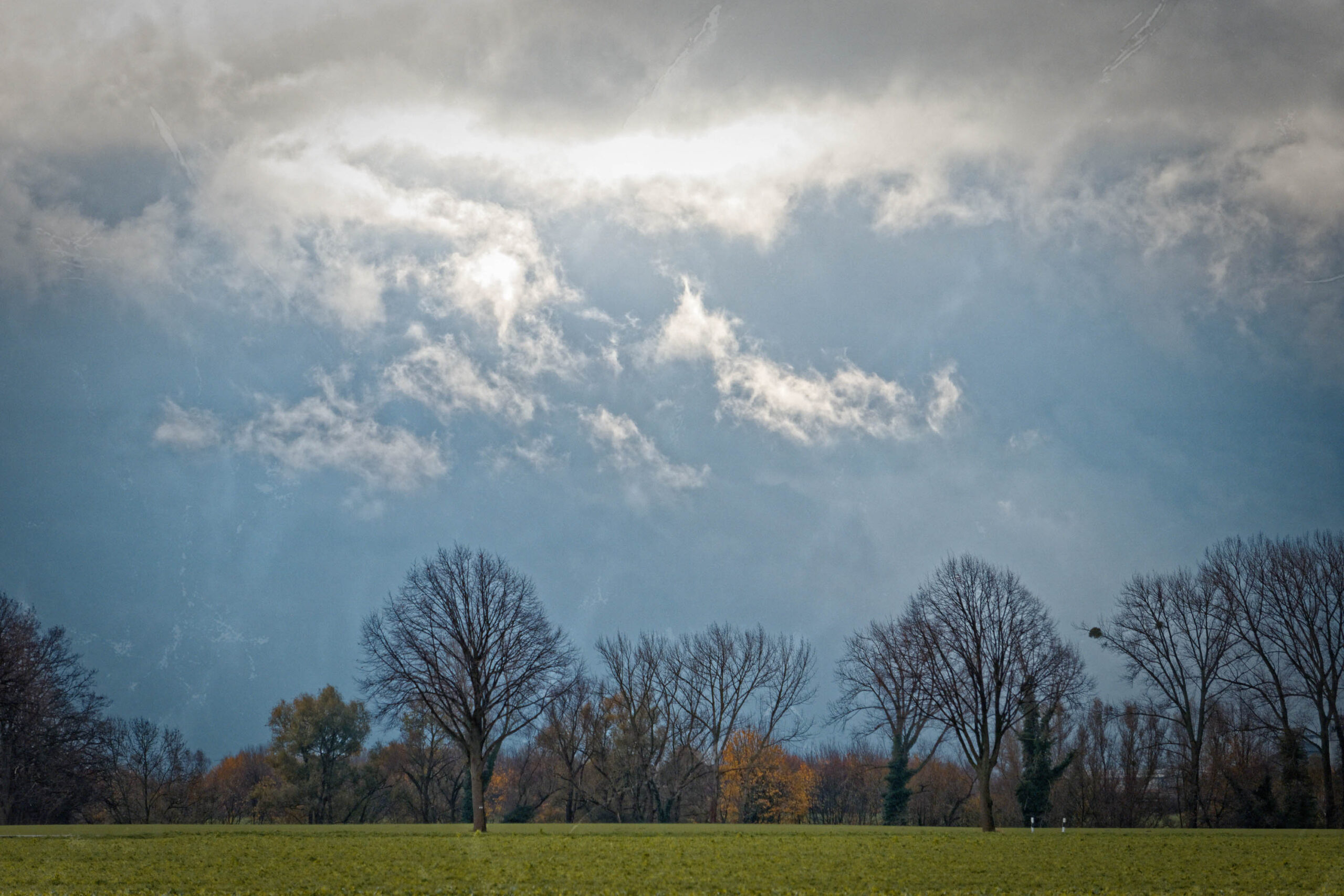 Die Aufnahme zeigt eine typische Landschaft des Calenberger Landes in Pattensen. Die Wiese ist in sattem Grün, was auf eine frühe Jahreszeit hindeutet. Die Bäume stehen ohne Laub da, was auf den Herbst oder Winterzeitraum schließen lässt. Der Himmel ist bedeckt und erzeugt eine ruhige Stimmung.