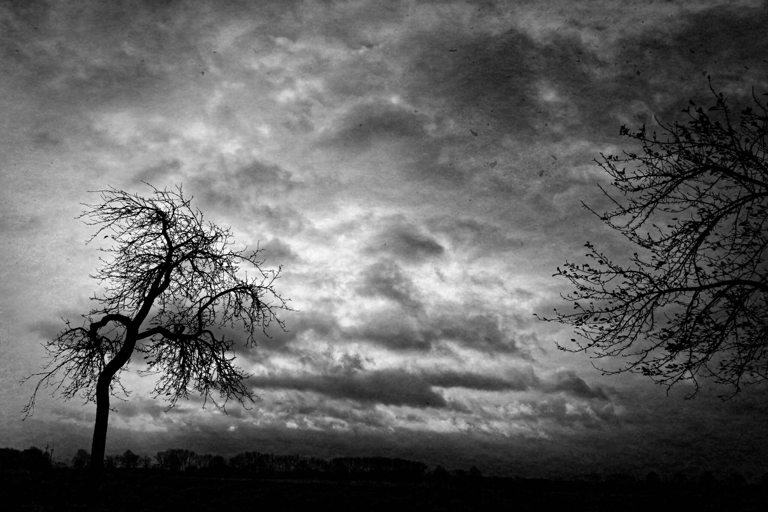 Das vorliegende Schwarz-Weiß-Foto zeigt eine eindringliche Szene, die vermutlich im Calenberger Land in Pattensen aufgenommen wurde. Zwei kahle Bäume dominieren den Vordergrund und ragen dramatisch in den stürmischen Himmel. Die Bäume sind vermutlich Laubabwerfer, möglicherweise Ahorn oder Birke, deren Äste sich in komplexen Mustern gegen den Himmel abzeichnen. Der Hügel, auf dem die Bäume stehen, verschmilzt fast vollständig mit dem dunklen Hintergrund, was die Szene noch eindringlicher macht. Die Wolkendecke ist dicht und dynamisch, was auf eine bevorstehende oder gerade stattfindende Wetterumschwung hindeutet.