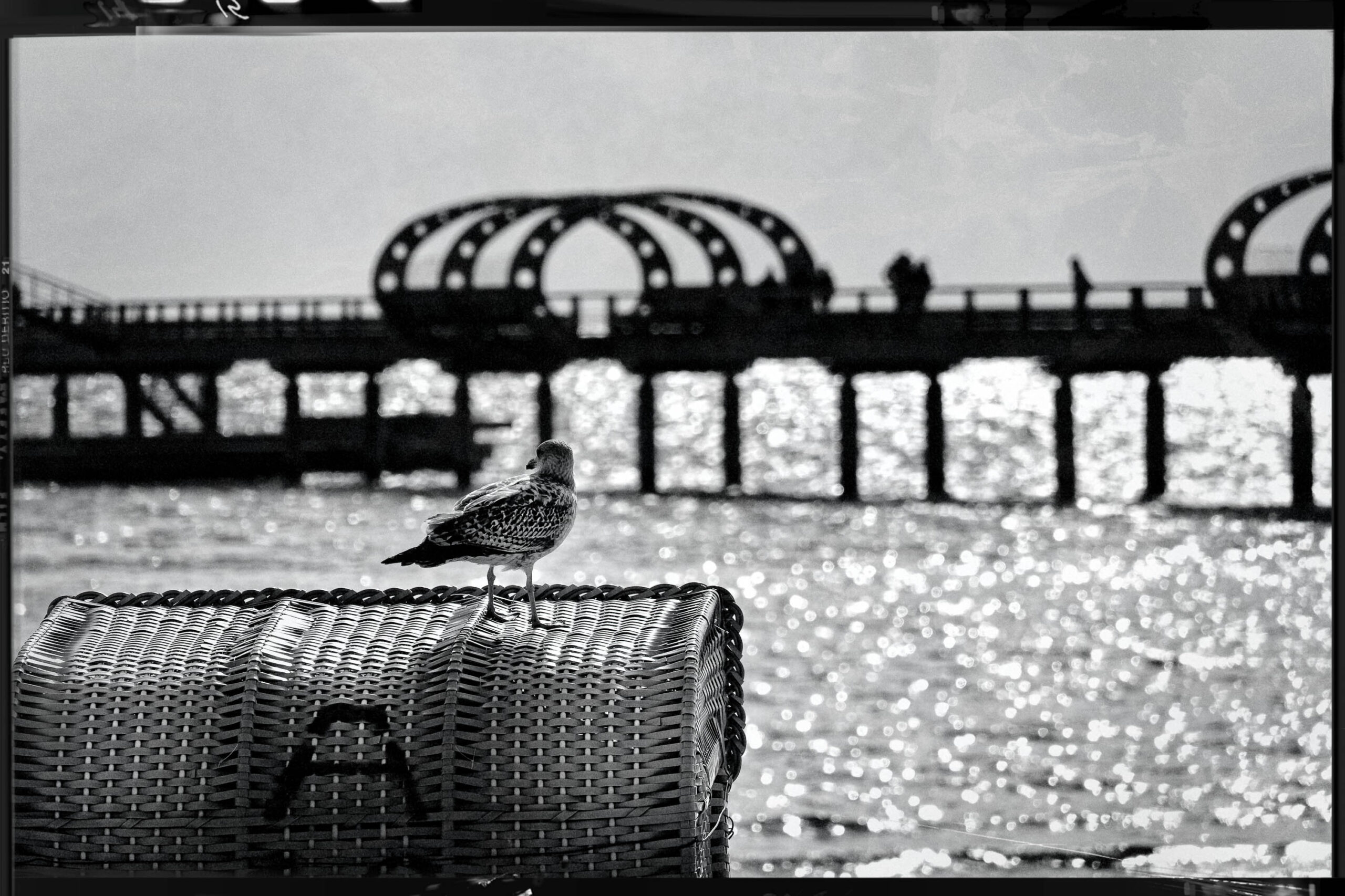 Das Foto zeigt eine Möwe, die auf einem geflochtenen Korb sitzt. Im Hintergrund ist ein Pier mit einer markanten Stahlkonstruktion zu sehen. Das Bild ist in Schwarzweiß gehalten und fängt die Atmosphäre eines Tages am Meer ein. Das Licht reflektiert auf der Wasseroberfläche und erzeugt einen glitzernden Effekt.