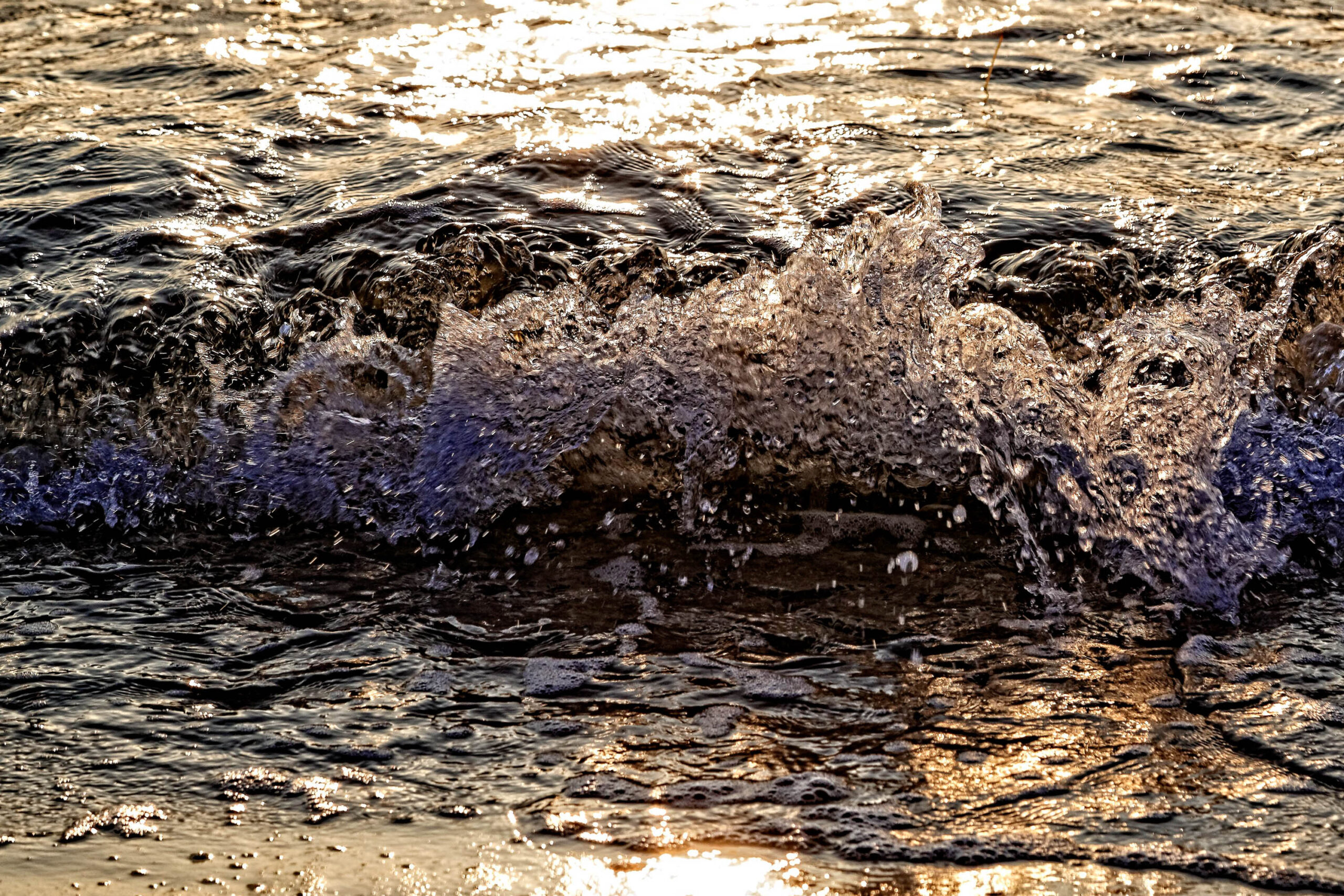 Das Bild zeigt eine dynamische Nahaufnahme einer Welle, die an den Strand rollt. Das Wasser ist dunkel und schimmernd, mit einem goldenen Glanz, der von der Sonne reflektiert wird. Die Welle ist in der Mitte des Bildes zu sehen und füllt fast den gesamten Rahmen aus. Die Textur des Wassers ist detailliert und zeigt die Bewegung und Energie der Welle. Der Hintergrund ist unscharf und zeigt den Rest des Strandes. Das Bild vermittelt ein Gefühl von Bewegung, Energie und Schönheit der Natur.