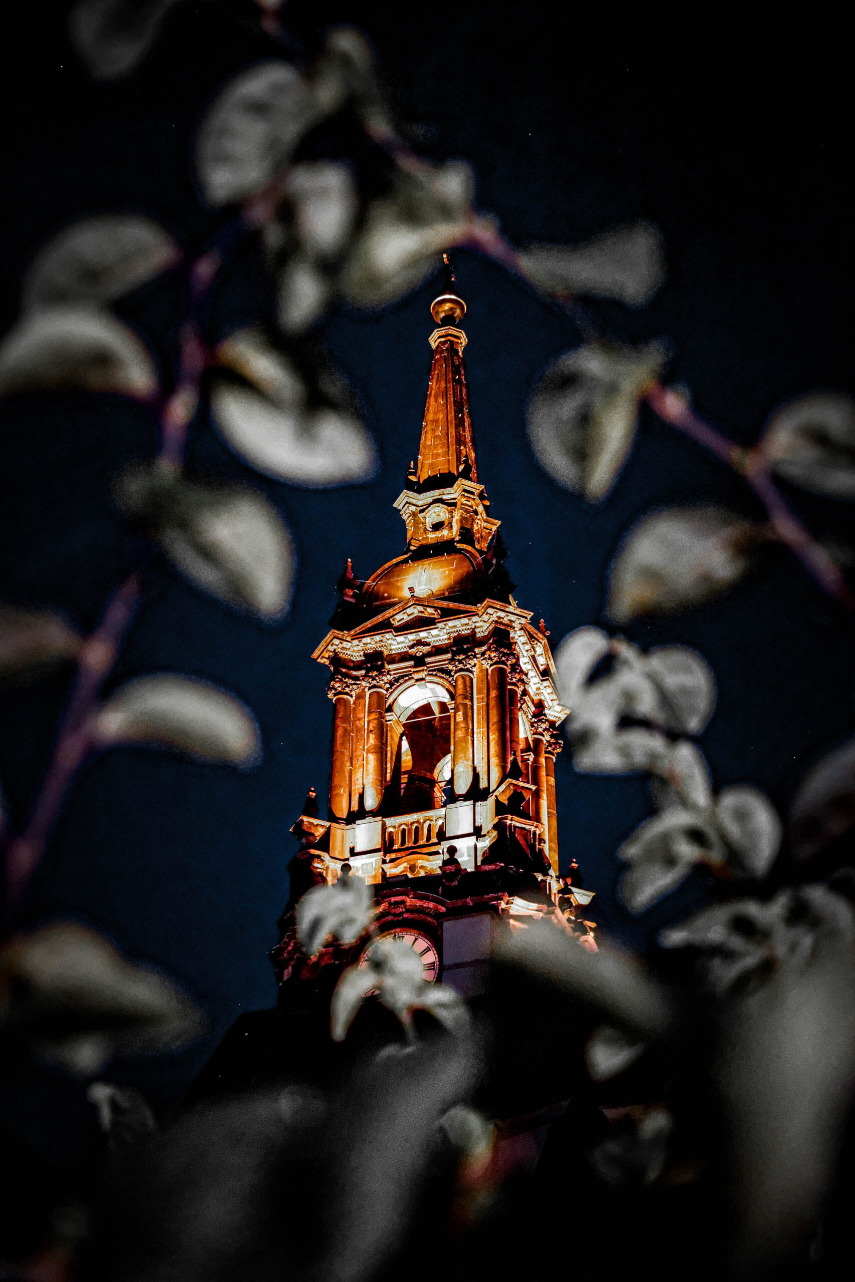 Das Foto zeigt die Frauenkirche in Dresden, aufgenommen im August 2013. Die Kirche ist beleuchtet und dominiert das Bild. Die Aufnahme ist durch Blätter im Vordergrund teilweise verdeckt, was einen künstlerischen Effekt erzeugt. Der Himmel ist dunkel, was die Beleuchtung der Kirche hervorhebt. Die Perspektive ist von unten, was die Höhe und die imposante Erscheinung der Kirche betont.