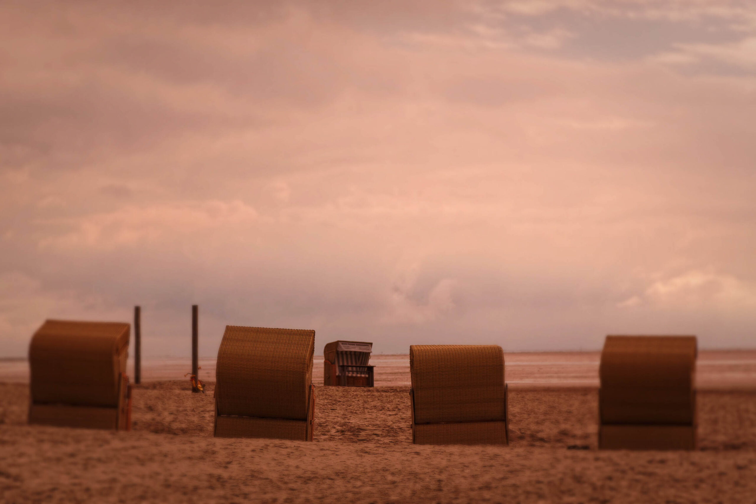 Das Bild zeigt eine Szene am Strand von St. Peter-Ording an der Nordsee. Im Vordergrund stehen vier traditionelle Strandkörbe aus Rattan, die in einer Reihe angeordnet sind. Der Sand ist feucht und reflektiert das Licht des Himmels. Im Hintergrund erstreckt sich das Meer, das in den rosafarbenen Himmel übergeht. Der Himmel ist bewölkt, was zu einer weichen, diffusen Beleuchtung beiträgt. Die Szene vermittelt eine ruhige und friedliche Atmosphäre.
