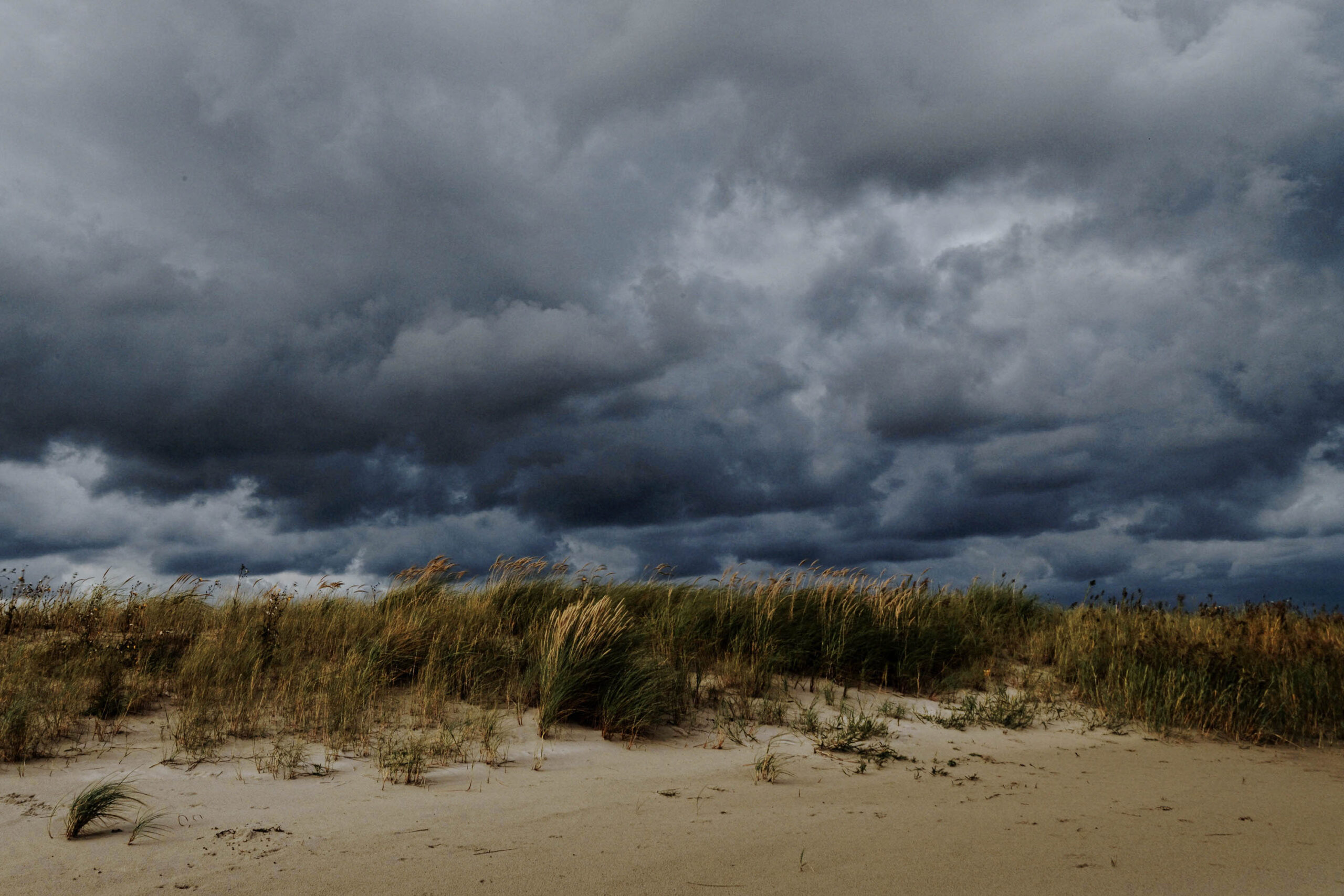 Die Aufnahme zeigt eine typische Küstenlandschaft in St. Peter-Ording. Im Vordergrund erstreckt sich ein Sandstrand, der von einer Düne mit üppiger Vegetation gesäumt wird. Die Vegetation besteht hauptsächlich aus Gräsern und krautigen Pflanzen, die sich an die salzhaltige Umgebung angepasst haben. Der Himmel ist von dunklen, bedrohlich wirkenden Wolken bedeckt, die eine dramatische Atmosphäre erzeugen. Die Farben sind gedämpft und wirken melancholisch. Die Aufnahme fängt die raue Schönheit der norddeutschen Küste ein.