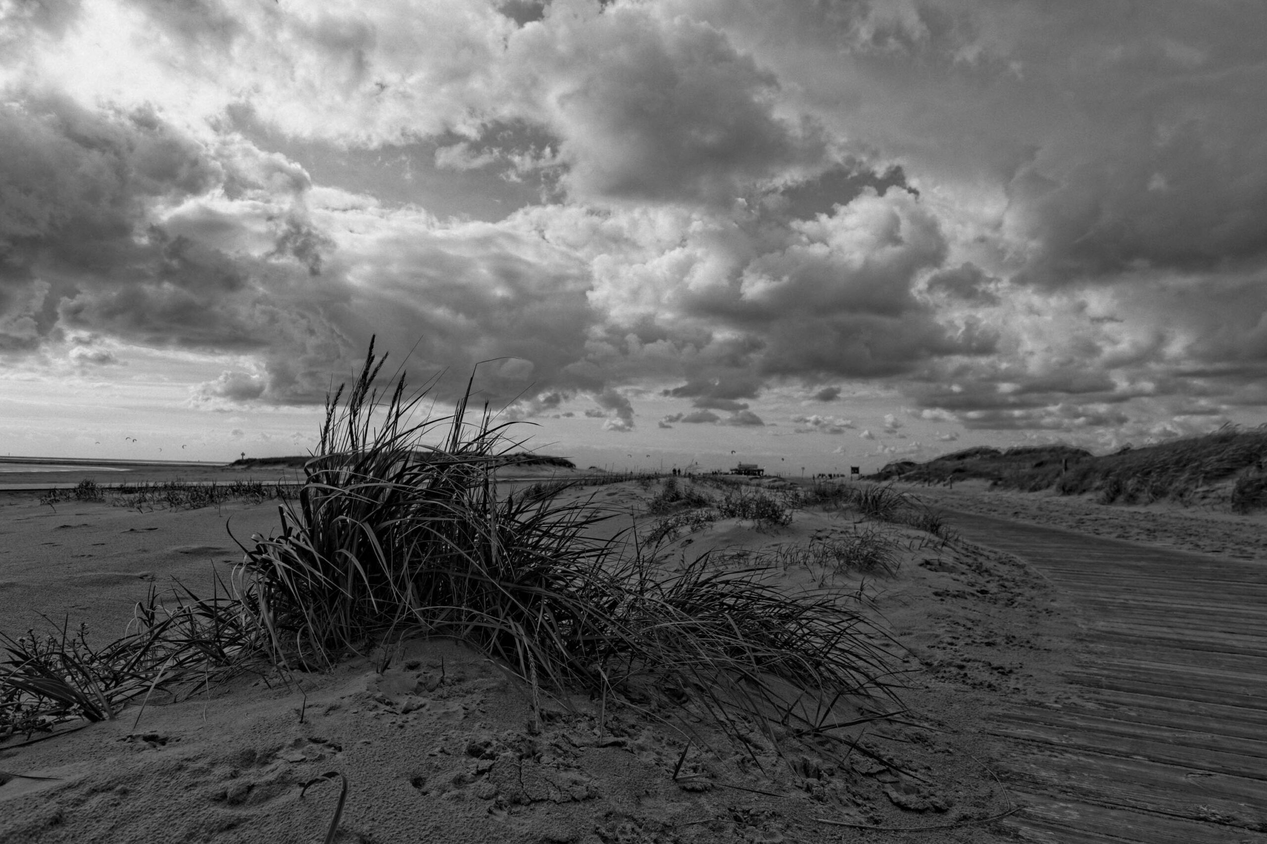 Das vorliegende Schwarz-Weiß-Foto zeigt eine typische Strandlandschaft in St. Peter-Ording. Der Fokus liegt auf dem Vordergrund, wo eine Gruppe von Strandhafer (Festuca vaginata) aus dem Sand ragt. Im Hintergrund erstreckt sich der Strand, der von Dünen und einem dramatischen, bewölkten Himmel begrenzt wird. Die Holzstege, die den Strand durchziehen, sind deutlich erkennbar und unterstreichen die touristische Infrastruktur des Ortes. Die Stimmung ist melancholisch und ruhig, verstärkt durch die monochrome Darstellung und das diffuse Licht.