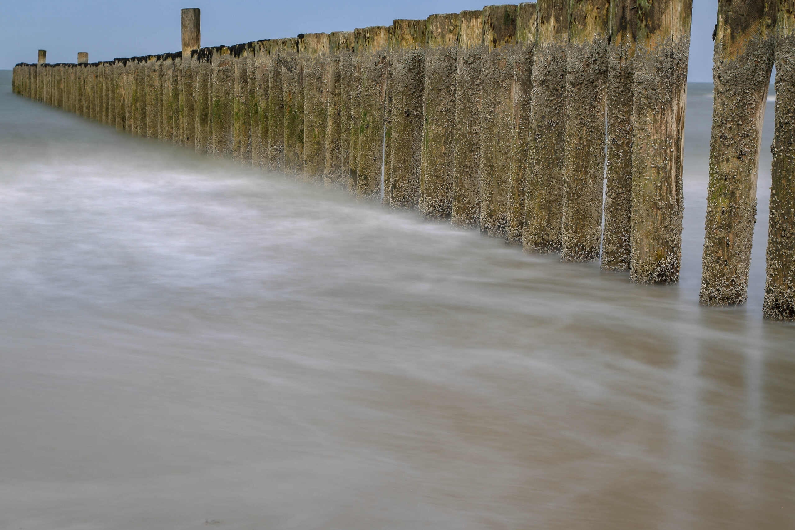 Das Bild zeigt eine Reihe von Betonpfählen, die aus dem Wasser ragen. Die Pfähle sind mit Algen und Muscheln besiedelt und wirken durch die lange Belichtungszeit verschwommen. Der Hintergrund besteht aus trübem Meerwasser, das ebenfalls durch die lange Belichtungszeit weichgezeichnet ist. Die Szene vermittelt eine ruhige und friedliche Atmosphäre. Das Bild wurde wahrscheinlich bei Ebbe aufgenommen, da die Pfähle teilweise aus dem Wasser ragen.