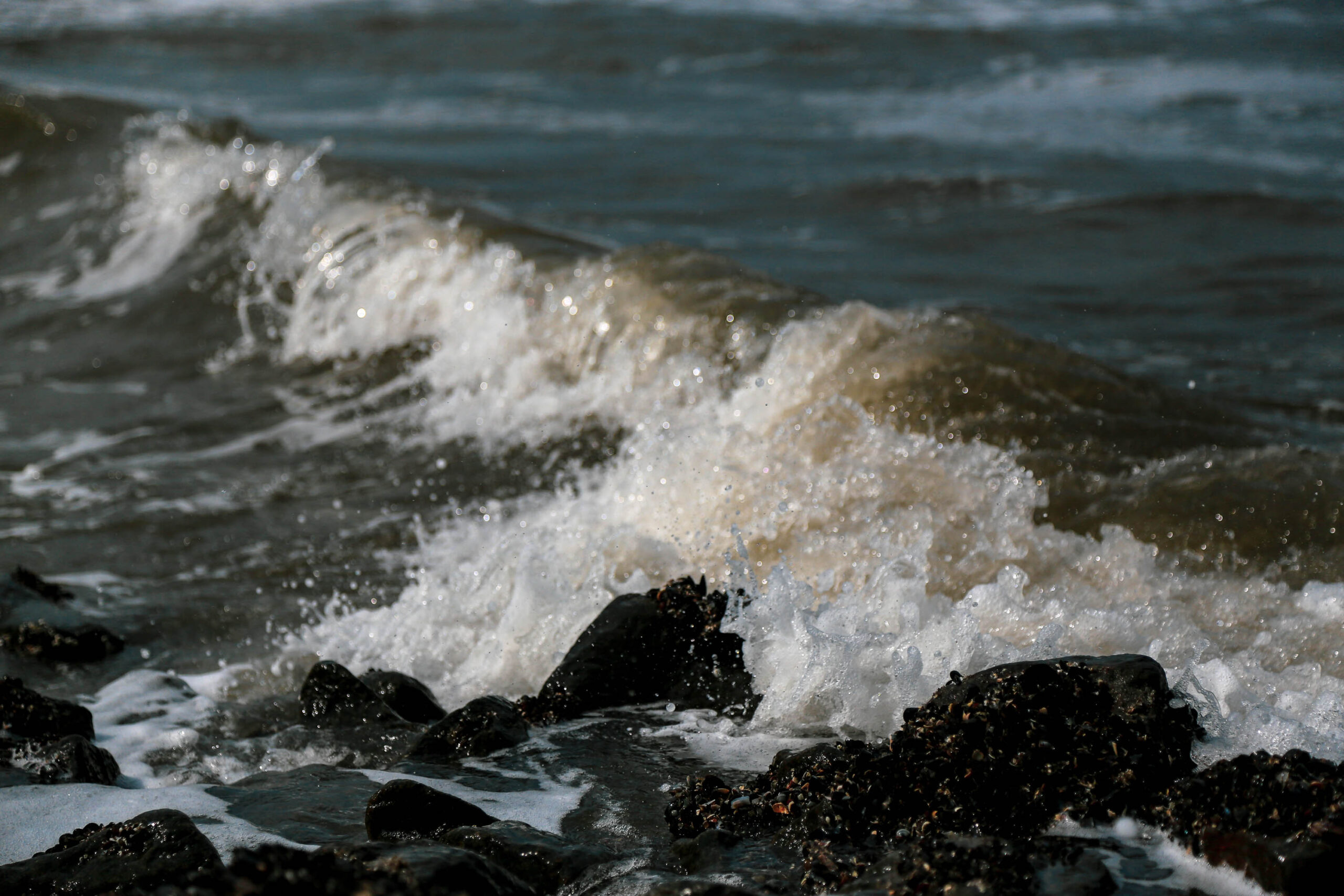 Das Bild zeigt eine dynamische Aufnahme einer Welle, die an einer felsigen Küstenlinie aufschlägt. Das Wasser ist dunkelgrün und weiß, wobei die Welle selbst eine Mischung aus Weiß und Braun aufweist, was auf Sedimente im Wasser hindeutet. Die Felsen sind dunkel und moosbedeckt, was auf eine salzige und feuchte Umgebung hinweist. Die Aufnahme fängt den Moment des Aufpralls ein, mit Gischt und Spritzwasser, das in die Luft steigt. Die Komposition ist auf die Bewegung und Kraft des Wassers konzentriert, wobei der Hintergrund unscharf ist, um die Aufmerksamkeit auf das Hauptmotiv zu lenken. Die Aufnahme vermittelt ein Gefühl von Bewegung, Kraft und der rohen Schönheit der Natur.