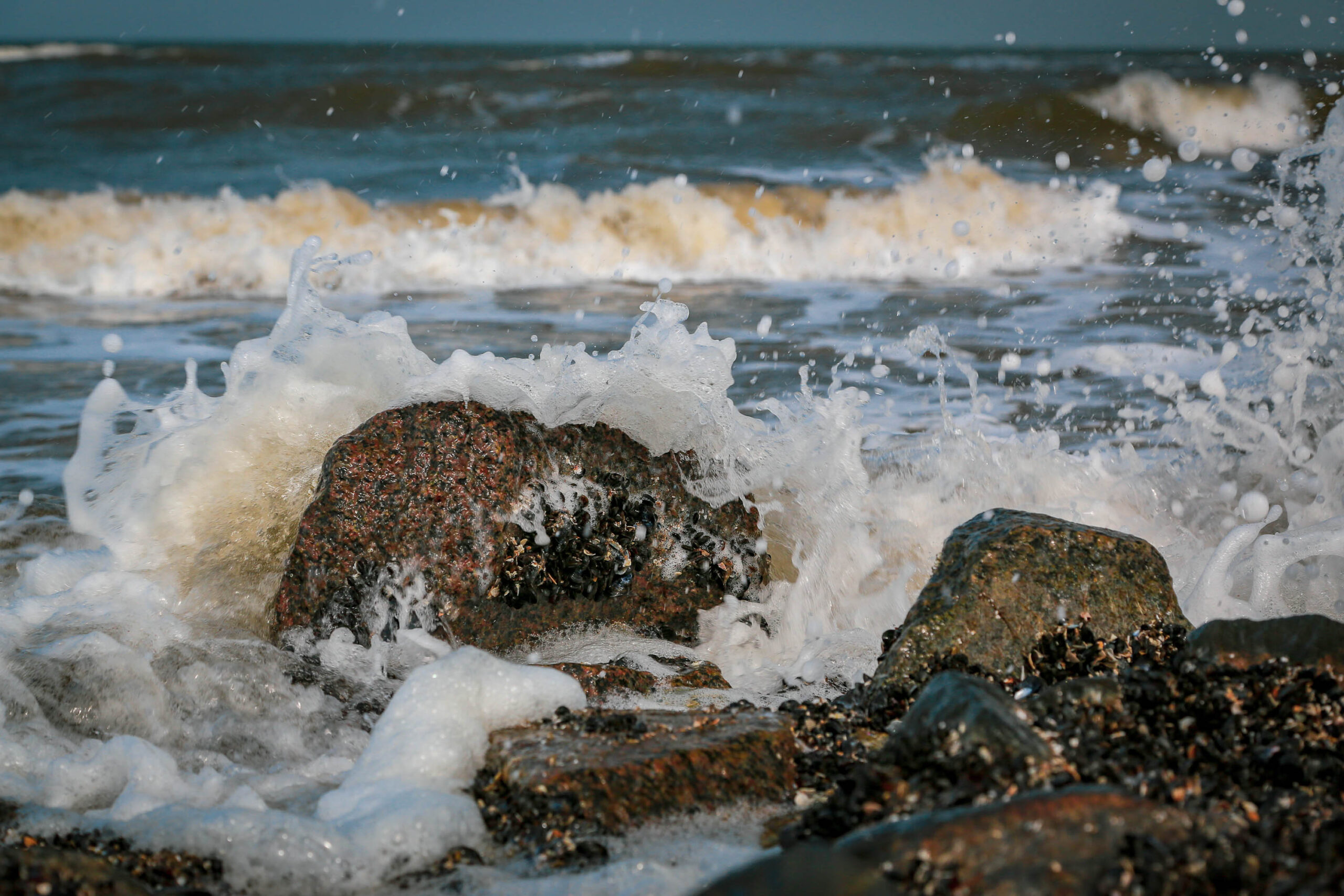 Das Bild zeigt eine dynamische Szene an der Küste von Wangerooge. Große, dunkle Felsen ragen aus dem schwarzen Kiesstrand hervor und werden von aufbrandenden Wellen überspült. Das Wasser ist trüb und schäumt stark, was die Kraft der Wellen verdeutlicht. Die Felsen sind von Moos und Algen bewachsen, was ihnen eine raue Textur verleiht. Der Himmel ist nicht sichtbar, aber das Licht deutet auf einen bewölkten Tag hin. Die Szene vermittelt ein Gefühl von Bewegung und Naturgewalt.
