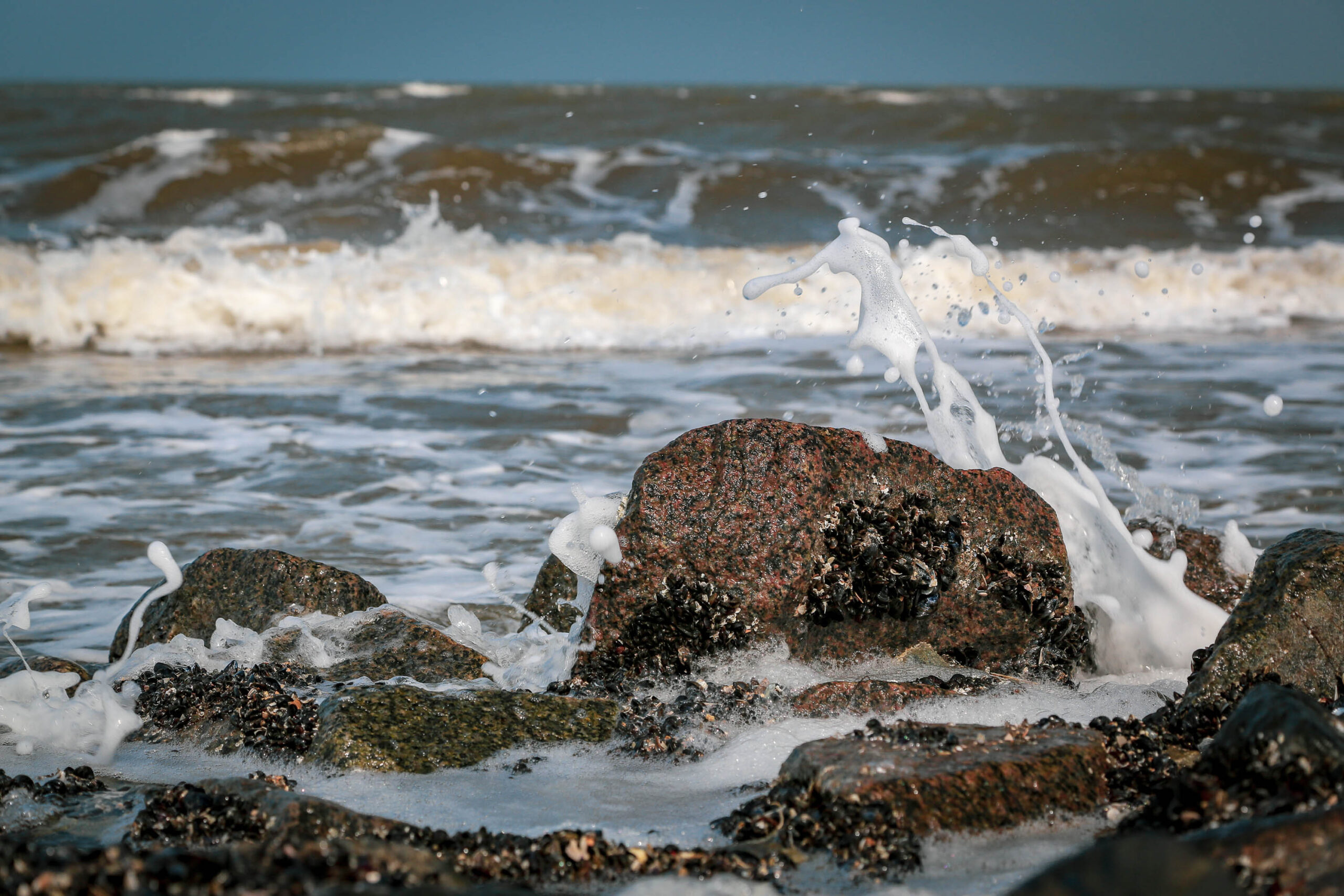 Die Aufnahme zeigt eine Detailaufnahme von Felsen an der Küste der Insel Wangerooge. Das Wasser ist aufgewühlt und schlägt mit Kraft gegen die Felsen, wodurch Gischt und Schaum entstehen. Die Felsen sind von Algen und Muscheln besiedelt. Der Himmel ist bedeckt und das Licht ist diffus.