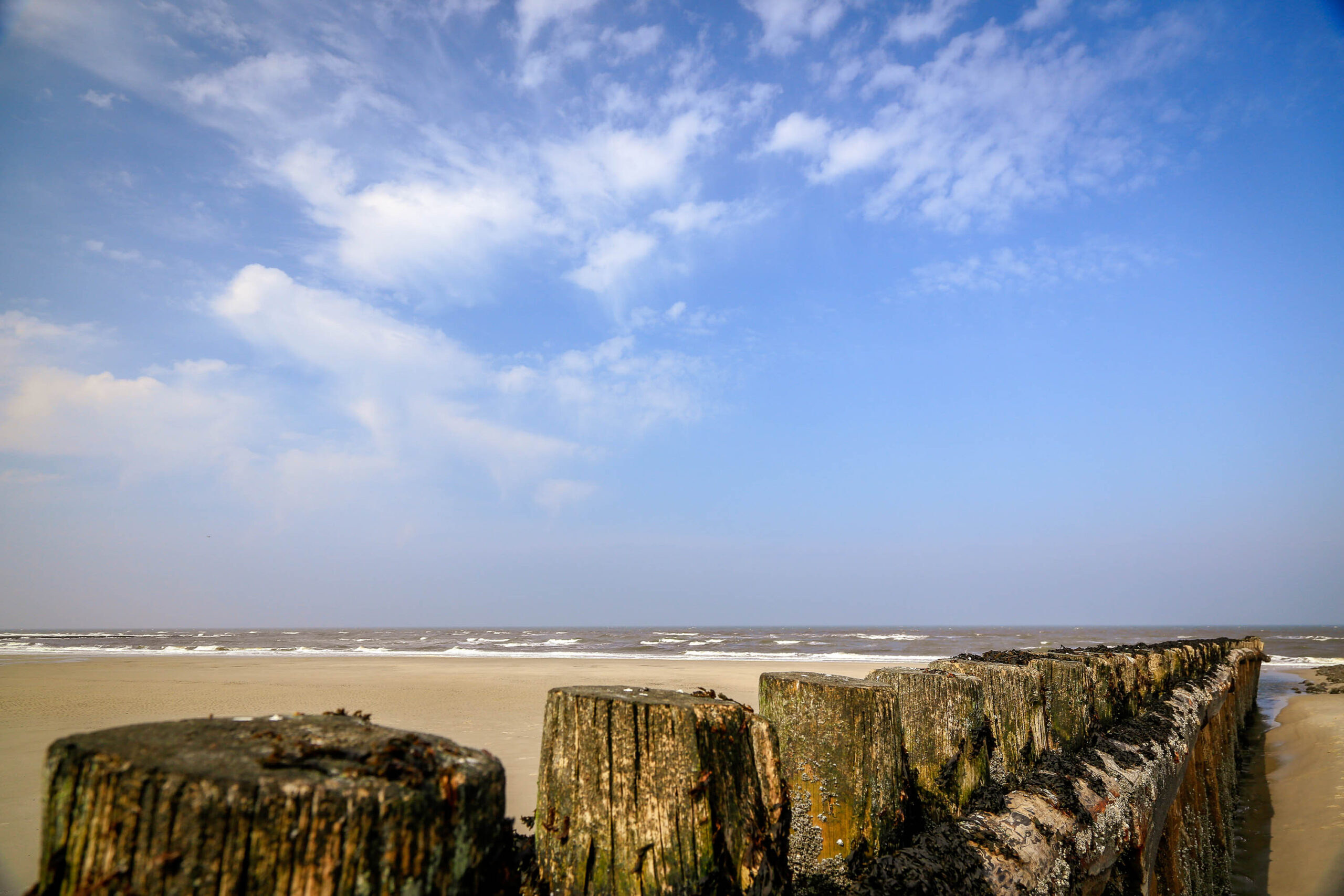 Das Foto zeigt eine Küstenlandschaft auf der Insel Wangerooge. Im Vordergrund stehen mehrere Baumstämme, die aus dem Sand ragen. Sie sind teilweise verwittert und zeigen die Maserung des Holzes. Im Hintergrund erstreckt sich ein breiter Sandstrand, der von Wellen umspült wird. Das Meer ist leicht aufgewühlt, und der Horizont ist durch einen Dunst verschwommen. Der Himmel ist blau und von vereinzelten Wolken bedeckt. Die Szene vermittelt eine ruhige und friedliche Atmosphäre.