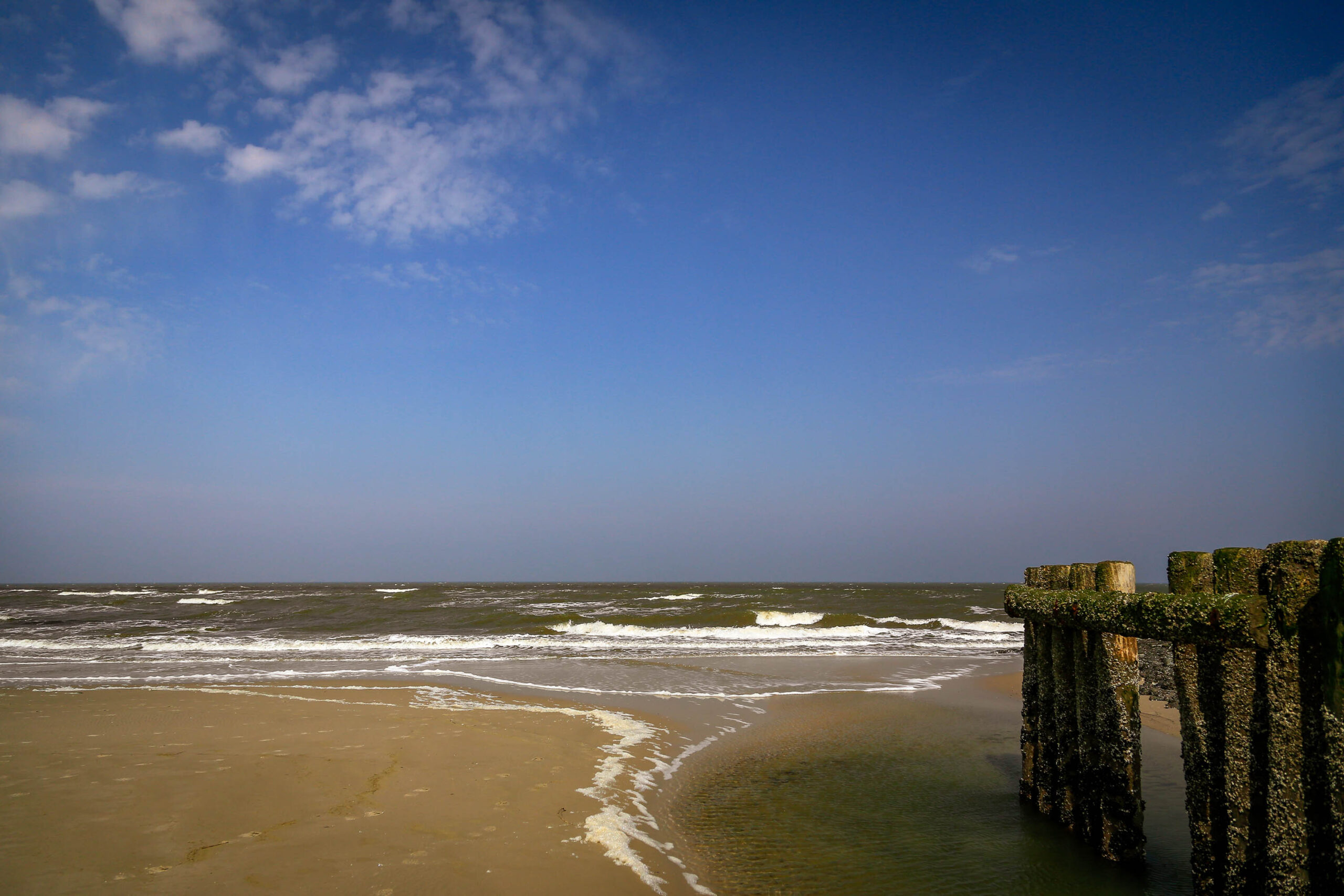 Das Foto zeigt einen Sandstrand auf der Insel Wangerooge. Im Vordergrund sind die Überreste eines alten Piers oder einer Mole zu sehen, die aus dem Sand ragen. Das Meer ist aufgewühlt und die Wellen brechen am Strand. Der Himmel ist blau und wolkenlos. Die Szene vermittelt eine ruhige und friedliche Atmosphäre, aber auch die Kraft des Meeres ist spürbar.