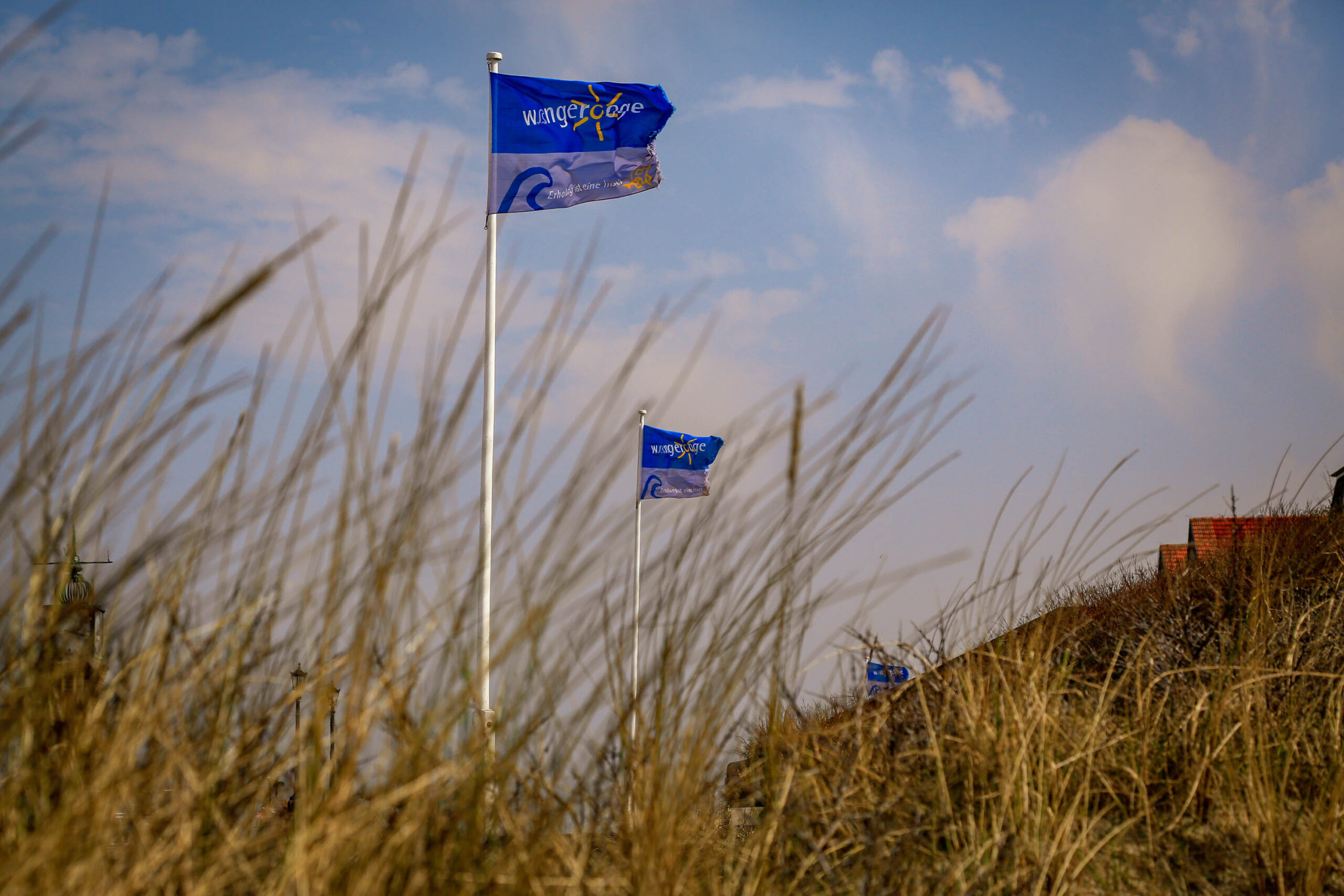 Die Aufnahme zeigt eine typische Landschaft von Wangerooge, einer Insel in der Nordsee. Im Vordergrund dominieren hohe, goldgelbe Gräser, die teilweise die Sicht auf die dahinterliegende Szene verdecken. Zwei Fahnen mit dem Schriftzug 'Wangerooge' wehen im Wind. Im Hintergrund ist ein sanfter Hügel zu erkennen, der mit Gras bewachsen ist. Der Himmel ist blau und von wenigen Wolken überspült. Die Szene vermittelt ein Gefühl von Ruhe und Weite, typisch für die Küstenlandschaft der Nordsee.