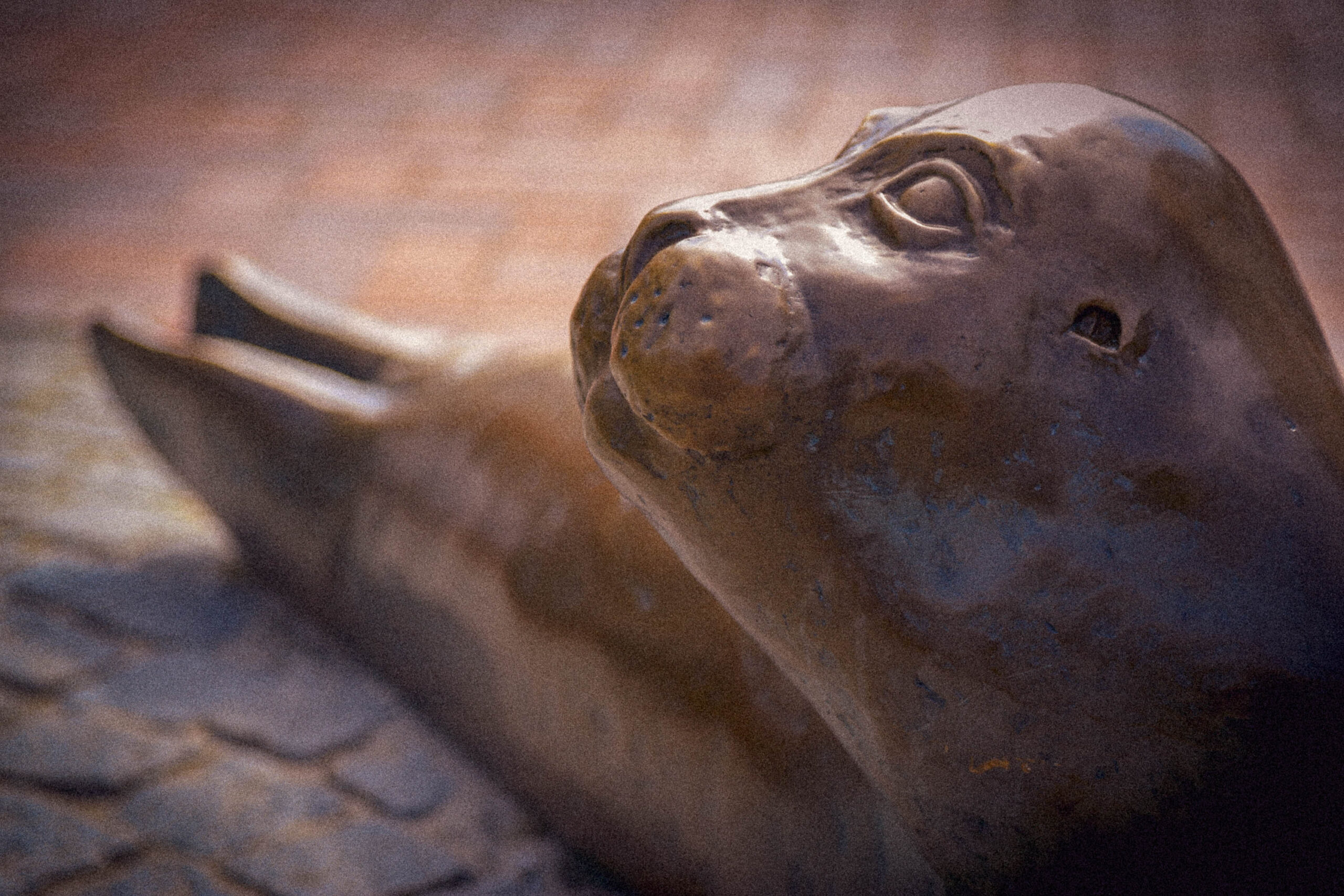 Die Aufnahme zeigt eine detaillierte Nahaufnahme einer Robbenstatue. Die Statue ist aus Bronze gefertigt und zeigt das Tier in einem leicht geneigten Blick nach oben. Die Textur des Metalls ist gut erkennbar, mit subtilen Reflexionen des Lichts. Der Hintergrund besteht aus dunklen, wellenförmigen Strukturen, die an das Meer erinnern. Die Komposition ist auf das Gesicht der Robbe fokussiert, was eine gewisse Intimität und Ausdruckskraft vermittelt. Die Farbgebung ist warm und erdig, was die maritime Atmosphäre unterstreicht.