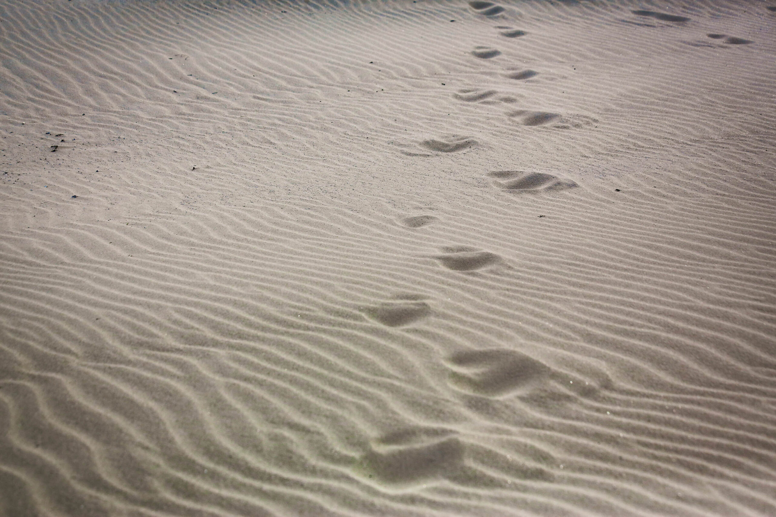 Das Bild zeigt eine Nahaufnahme von Fußabdrücken im feuchten Sand. Die Sandwellen sind deutlich sichtbar und erzeugen ein Muster im Bild. Die Fußabdrücke sind unregelmäßig verteilt und scheinen von verschiedenen Personen hinterlassen worden zu sein. Die Farben sind gedämpft und wirken ruhig und entspannend. Das Bild vermittelt ein Gefühl von Bewegung und Spuren im Sand.