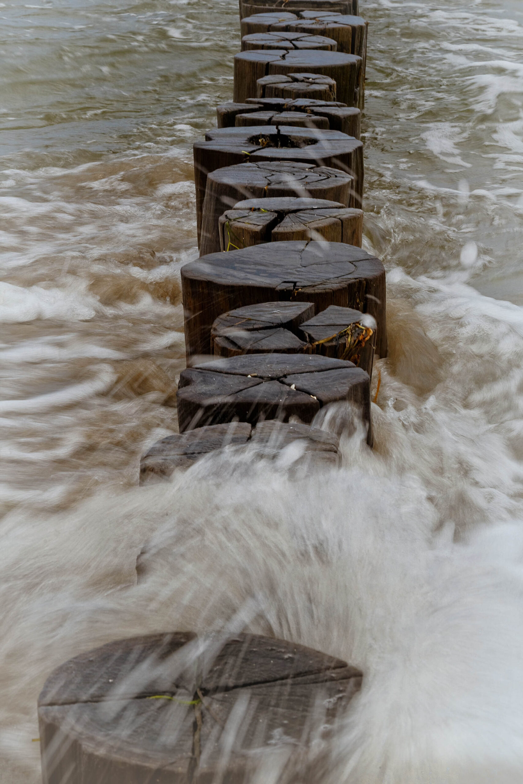 Das Bild zeigt eine Reihe von Holzstämmen, die aus dem Wasser ragen. Die Stämme sind von starkem Wellengang umspült, was eine dynamische und bewegte Szene erzeugt. Das Wasser ist trüb und braun gefärbt, was auf Schwebstoffe hindeutet. Die Perspektive ist von unten aufgenommen, was die Höhe der Stämme betont. Die Aufnahme ist in Zingst, Ostsee, im Juni 2013 entstanden.
