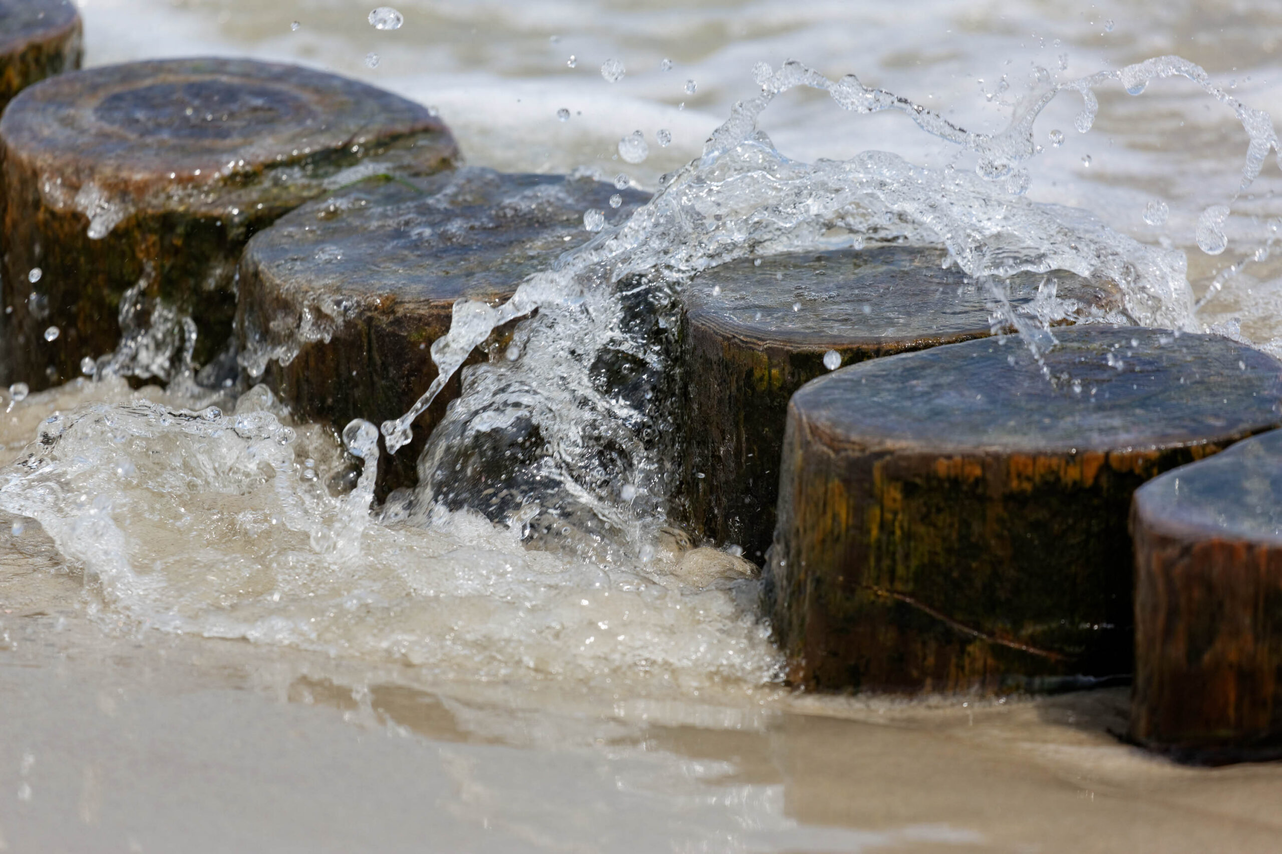 Die Aufnahme zeigt eine Nahaufnahme von Baumstämmen, die im Wasser schwimmen. Die Strömung hat das Wasser aufgewirbelt, wodurch ein schimmernder Effekt entsteht. Die Baumstämme sind dunkelbraun und haben eine raue Textur. Das Wasser ist trüb und hat eine leicht gelbliche Farbe. Die Aufnahme ist scharf und gut belichtet. Die Perspektive ist von unten, was die Baumstämme größer erscheinen lässt.