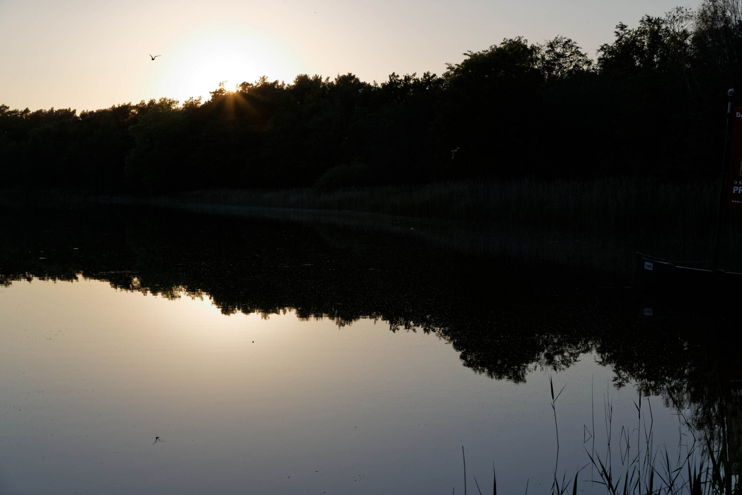 Die Aufnahme zeigt einen See bei Sonnenuntergang. Die Bäume am Ufer spiegeln sich deutlich im ruhigen Wasser. Der Himmel ist in einem sanften Farbverlauf von Gelb zu Dunkelblau gehalten, was eine ruhige und friedliche Atmosphäre erzeugt. Einige Vögel sind in der Luft zu sehen. Die Aufnahme wurde im Juni 2013 in der Nähe von Prerow, Darß, aufgenommen.
