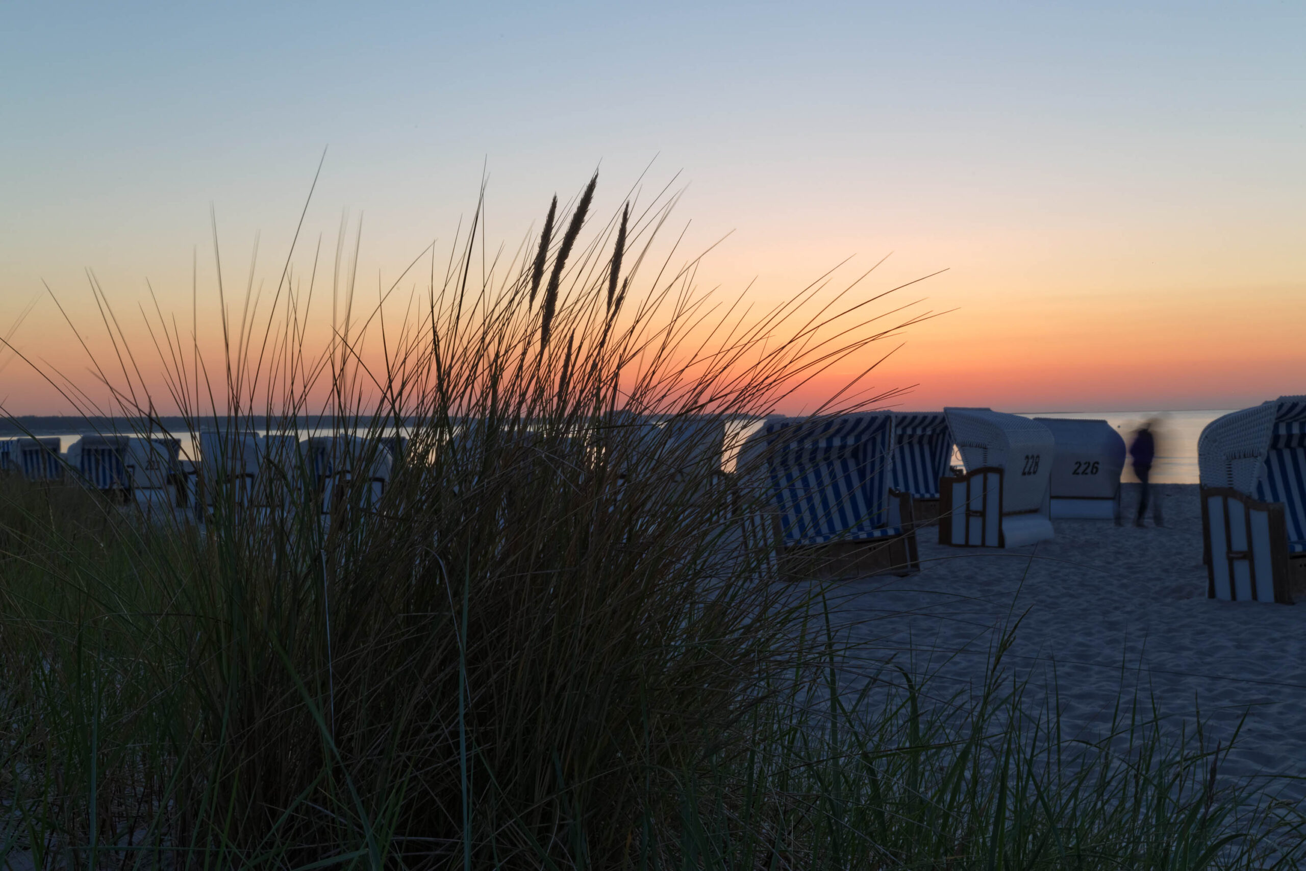 Das Bild zeigt einen Sonnenuntergang am Strand von Prerow, Darß. Im Vordergrund dominieren Halme von Strandhafer, die sich vor den aufgestellten Strandkörben erheben. Die Strandkörbe sind in einer Reihe angeordnet und tragen Nummern, darunter