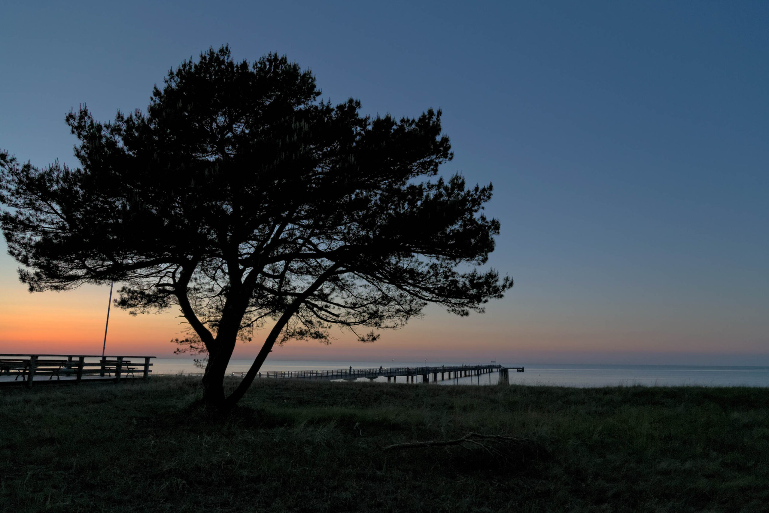 Die Aufnahme zeigt eine stimmungsvolle Silhouettenaufnahme eines Baumes vor einem farbenprächtigen Sonnenuntergang über dem Meer. Der Baum, vermutlich eine Kiefer, dominiert den Vordergrund und wird durch die Dunkelheit hervorgehoben. Im Hintergrund ist ein hölzerner Steg erkennbar, der sich ins Meer erstreckt. Der Himmel präsentiert ein Farbenspiel aus Orange-, Rosa- und Blautönen, was die Szene besonders atmosphärisch macht. Die Aufnahme wurde im Juni 2013 in Prerow, Darß, aufgenommen.
