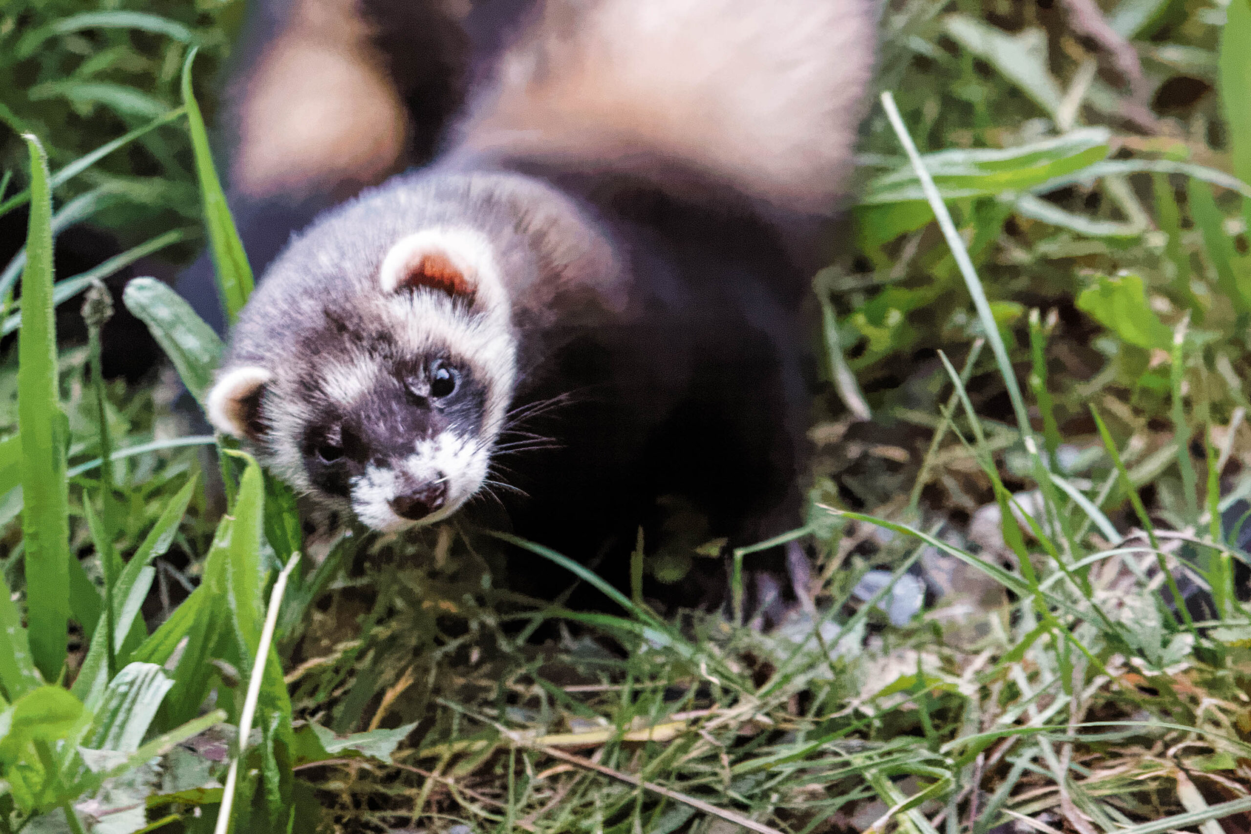 Achtung!! ISO51200!  :-)