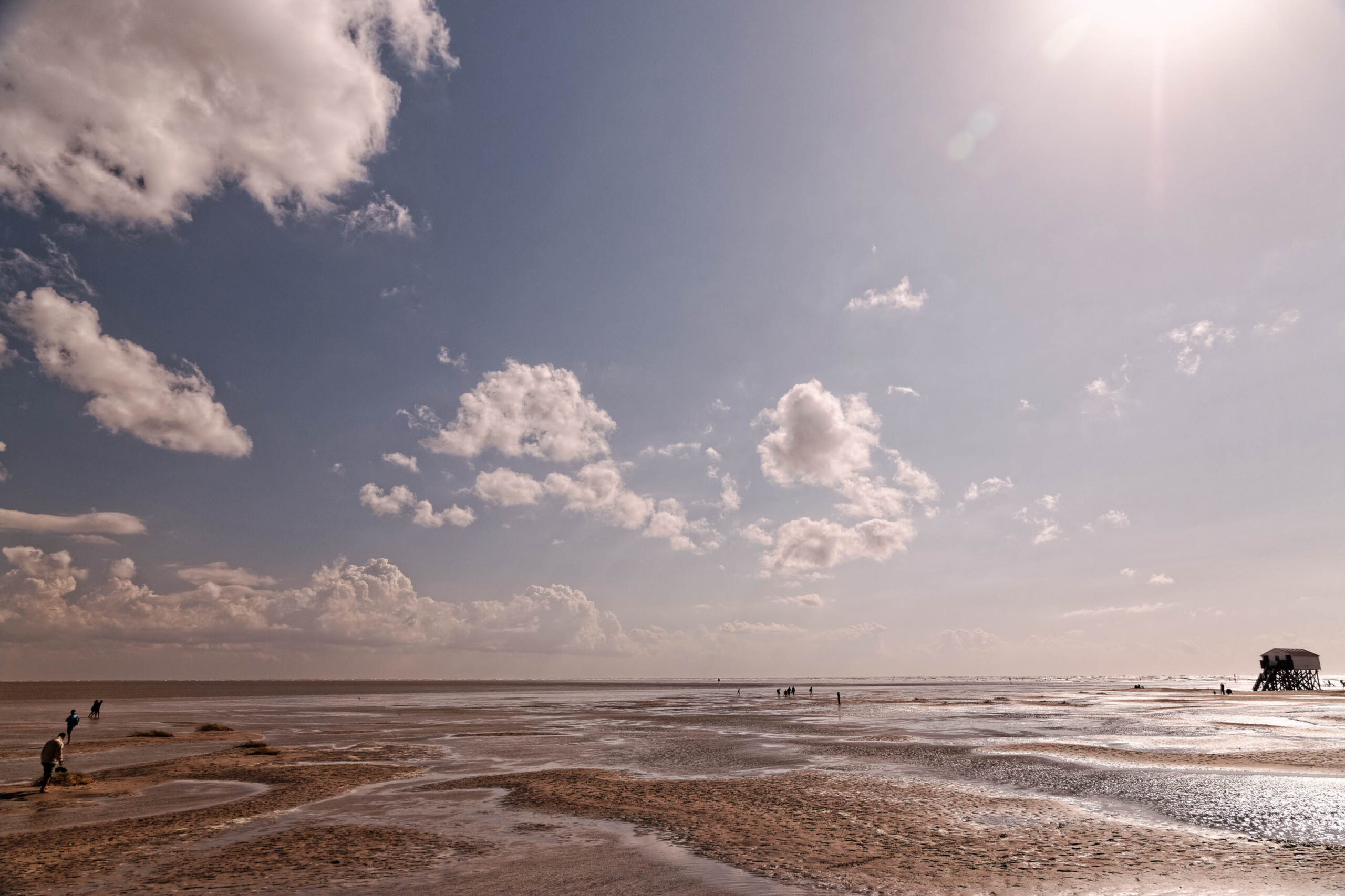 Die Aufnahme zeigt eine weite, flache Landschaft, typisch für die Nordsee-Küste. Der Strand erstreckt sich bis zum Horizont, bedeckt mit feuchtem Sand, der in verschiedenen Brauntönen schimmert. Im Vordergrund befindet sich ein einzelner Seehund, der sich auf dem Sand sonnt. Im Hintergrund, etwas weiter entfernt, erhebt sich ein hölzerner Seehundbeobachtungsturm auf Stelzen, der sich harmonisch in die Landschaft einfügt. Der Himmel ist von einer sanften Wolkendecke bedeckt, die das Licht streut und eine ruhige Atmosphäre schafft.