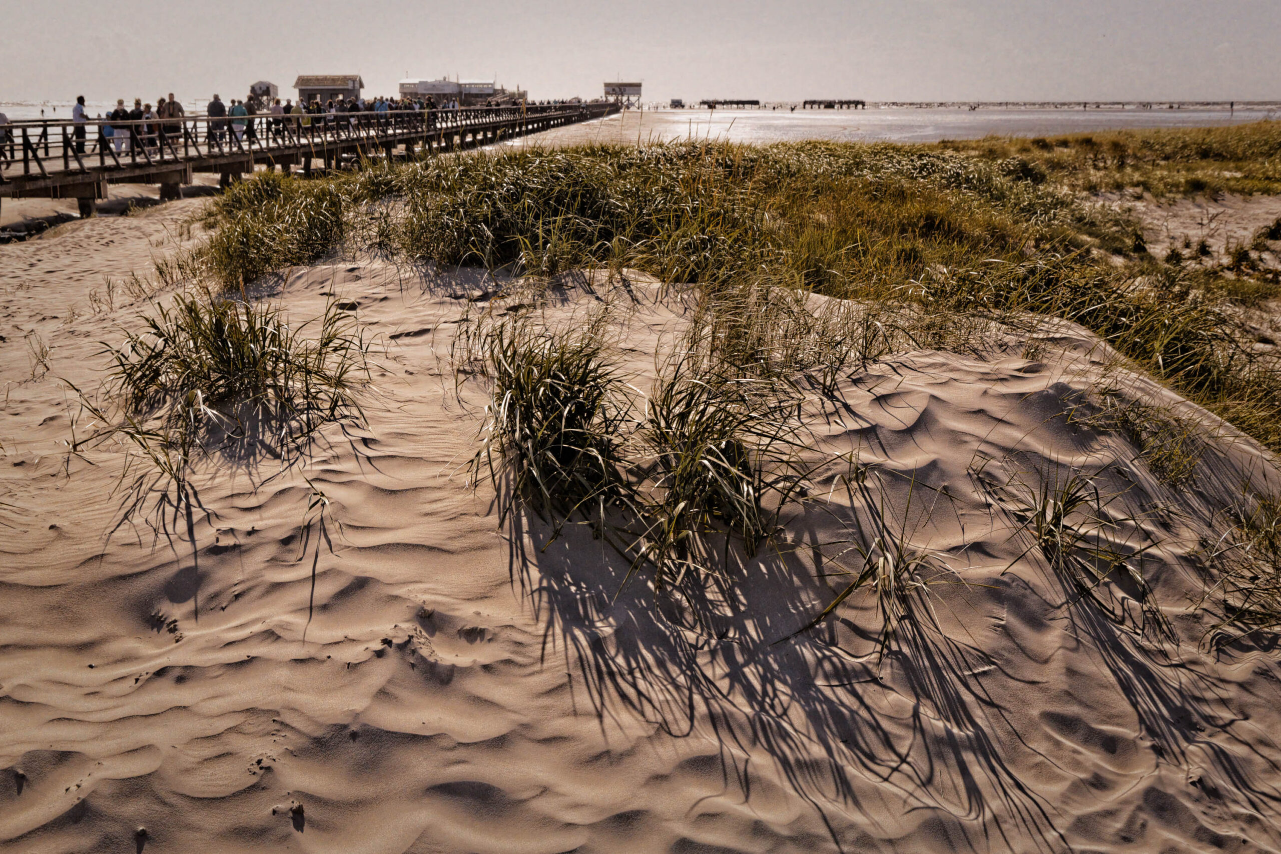 Die Aufnahme zeigt eine Szene von den Dünen in St. Peter-Ording, Nordsee. Im Vordergrund dominieren die sanften Wellen der Sanddünen, die von der tief stehenden Sonne beleuchtet werden. Die Schatten eines Grashalms fallen deutlich auf den Sand. Im Hintergrund erstreckt sich ein Seebrück, auf dem sich Menschen befinden. Der Himmel ist bedeckt und erzeugt eine gedämpfte Atmosphäre. Die Szene vermittelt ein Gefühl von Ruhe und Weite.