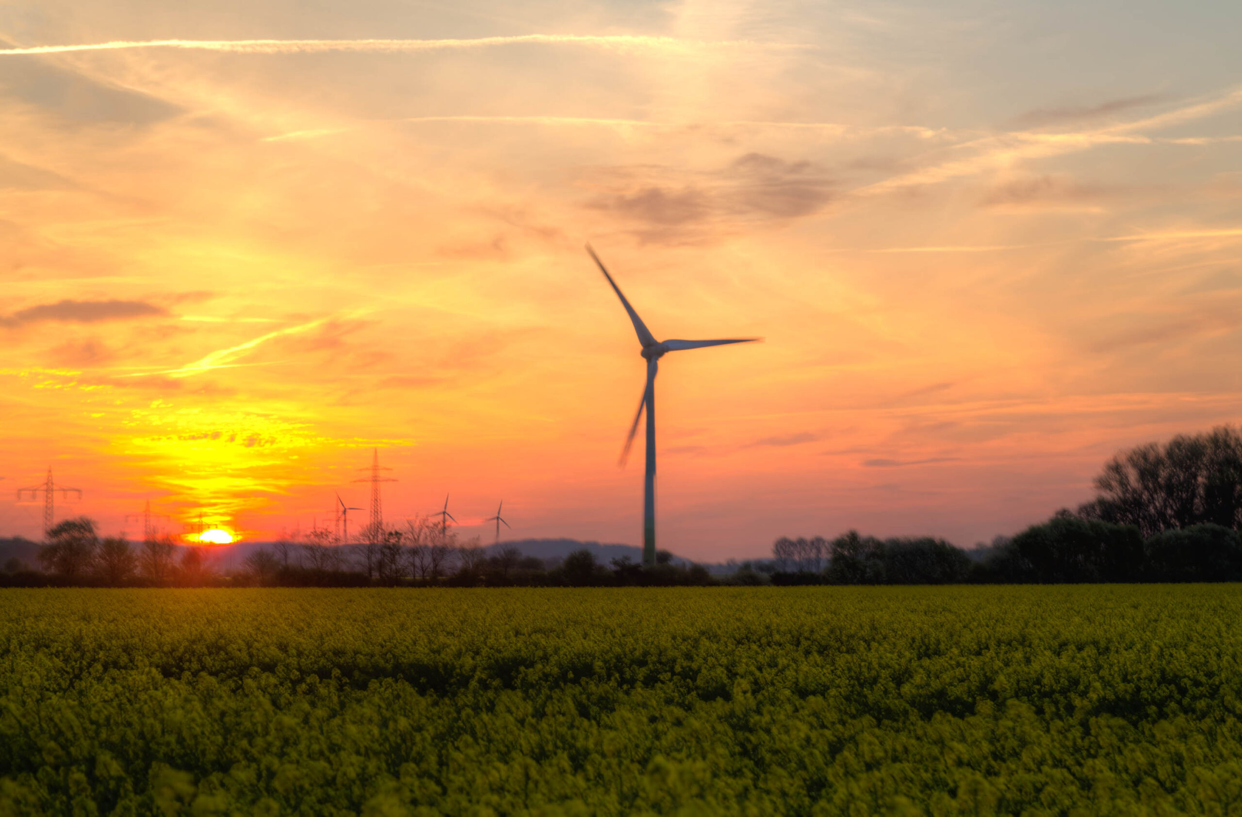 Die Aufnahme zeigt eine Landschaft bei Sonnenuntergang im Calenberger Land, nahe Pattensen. Im Vordergrund erstreckt sich ein Feld mit leuchtend gelben, vermutlich Rapsblüten. Im Hintergrund dominiert ein einzelnes Windrad, das sich vor dem orange-rosa gefärbten Himmel erhebt. Weitere Windräder sind in der Ferne erkennbar. Der Himmel ist von Wolken durchzogen, die das Licht der untergehenden Sonne reflektieren. Die Szene vermittelt eine friedliche und ruhige Atmosphäre.
