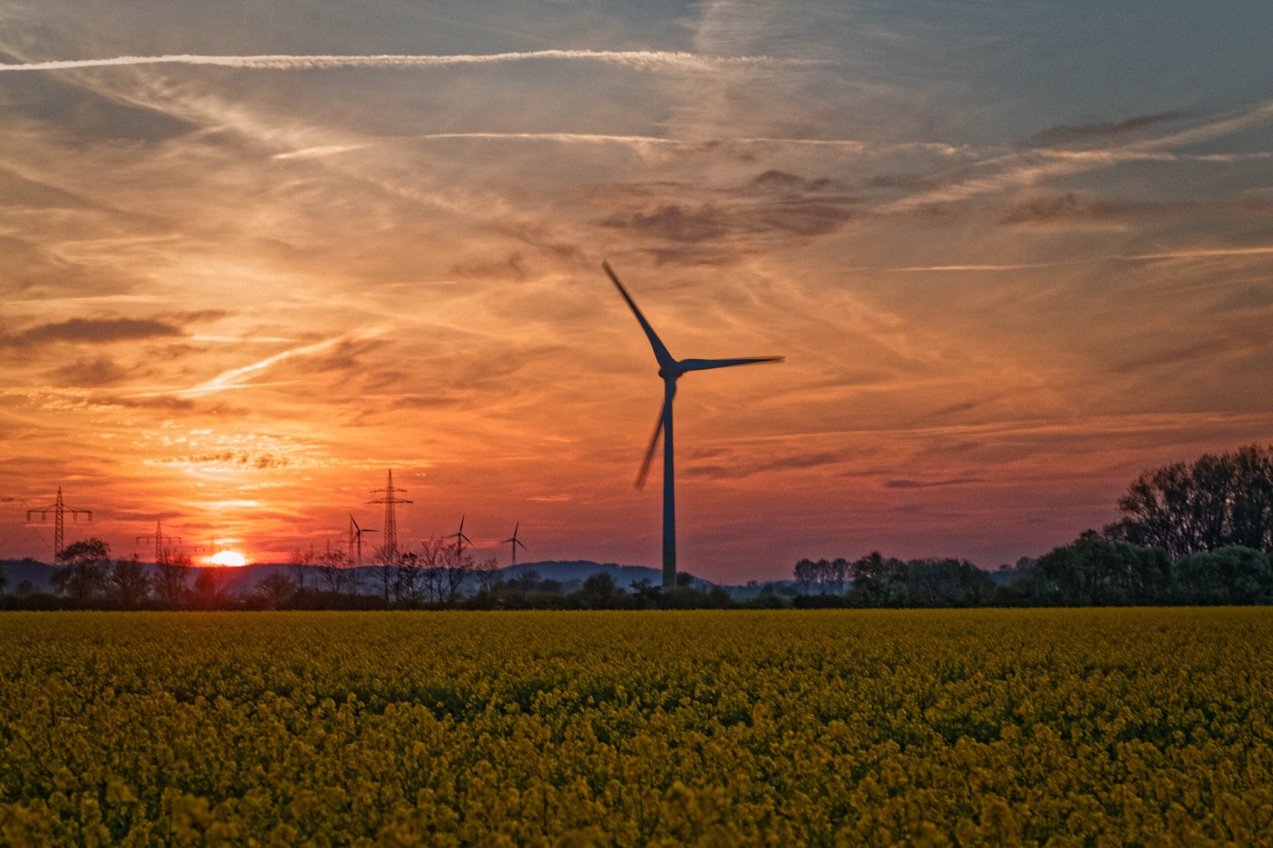 Die Aufnahme zeigt einen atemberaubenden Sonnenuntergang über einem Feld voller blühendem Raps. Der Himmel ist in leuchtenden Rottönen und Orangetönen gefärbt, die sich in den Blüten des Rapses spiegeln. Im Hintergrund ragen mehrere Windkraftanlagen auf, die die Silhouette des Horizonts durchbrechen. Die Aufnahme vermittelt ein Gefühl von Frieden und Erhabenheit, während die Natur ihre Schönheit entfaltet.
