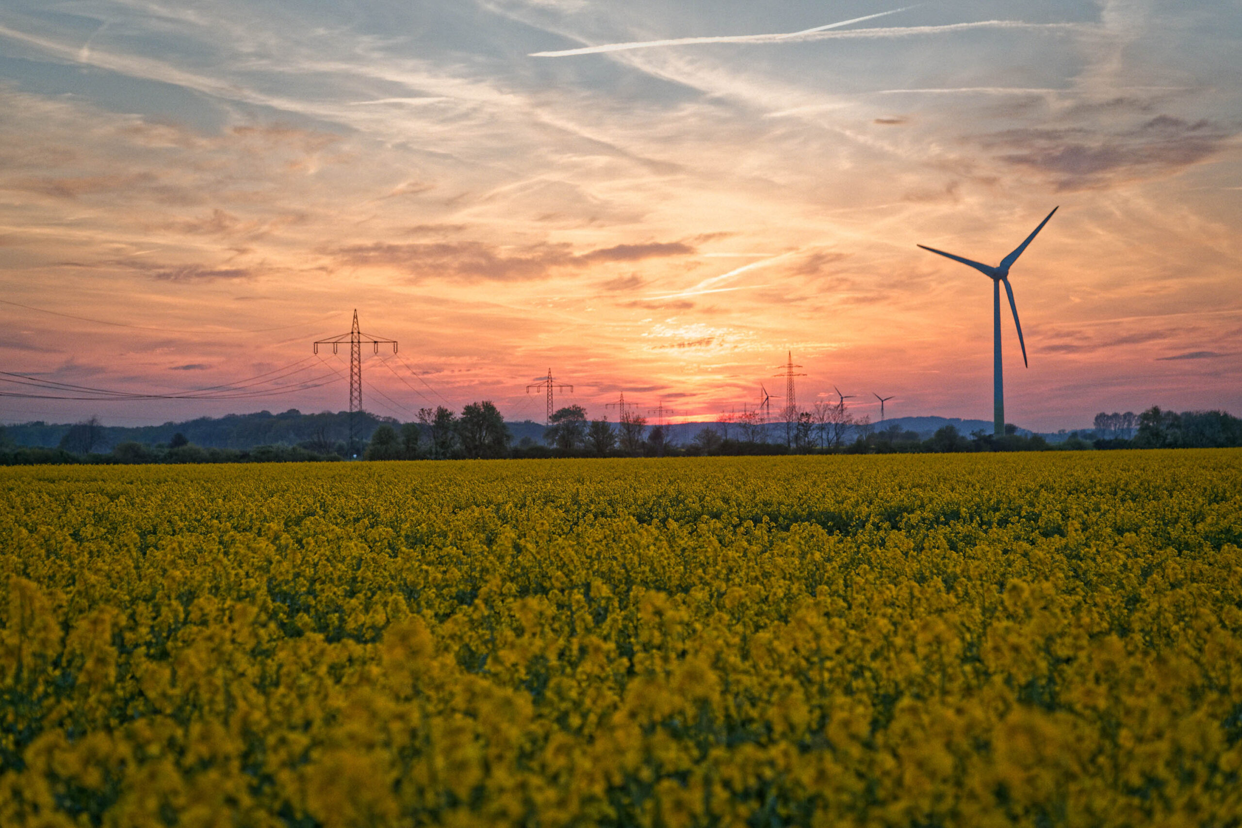 Das Bild zeigt ein weitläufiges Feld mit blühendem Raps, das sich bis zum Horizont erstreckt. Im Hintergrund sind mehrere Windkraftanlagen und Strommasten zu sehen, die sich vor einem dramatischen Sonnenuntergang abzeichnen. Der Himmel ist in leuchtenden Farben von Rosa, Orange und Violett gemalt, wobei vereinzelte Kondensstreifen die Szene zusätzlich betonen. Die Szene vermittelt ein Gefühl von Weite, Ruhe und landschaftlicher Schönheit.