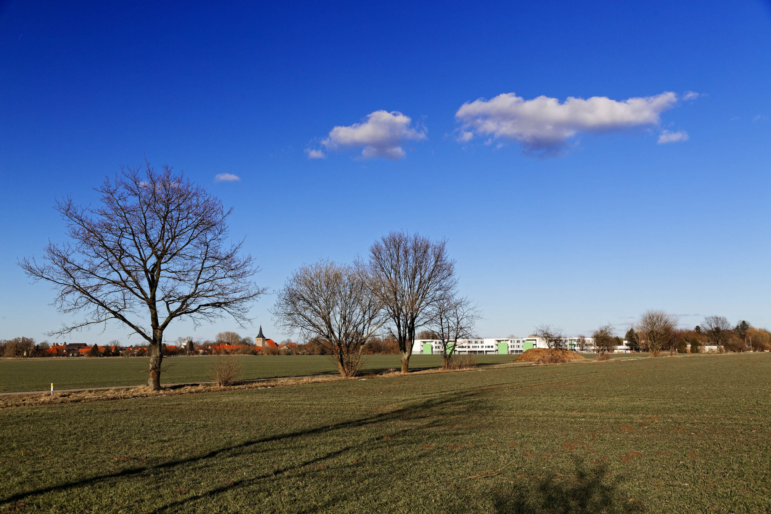 Die Aufnahme zeigt eine typische Landschaft im Calenberger Land, nahe Pattensen. Die Wiese dominiert das Bild und ist im Vordergrund deutlich zu sehen. Drei kahle Bäume werfen lange Schatten auf die Wiese, was auf die tiefstehende Sonne hindeutet. Im Hintergrund sind Wohngebäude und ein Kirchturm erkennbar, die die städtische Umgebung andeuten. Der Himmel ist blau und wolkenlos, was auf einen sonnigen Tag hindeutet.