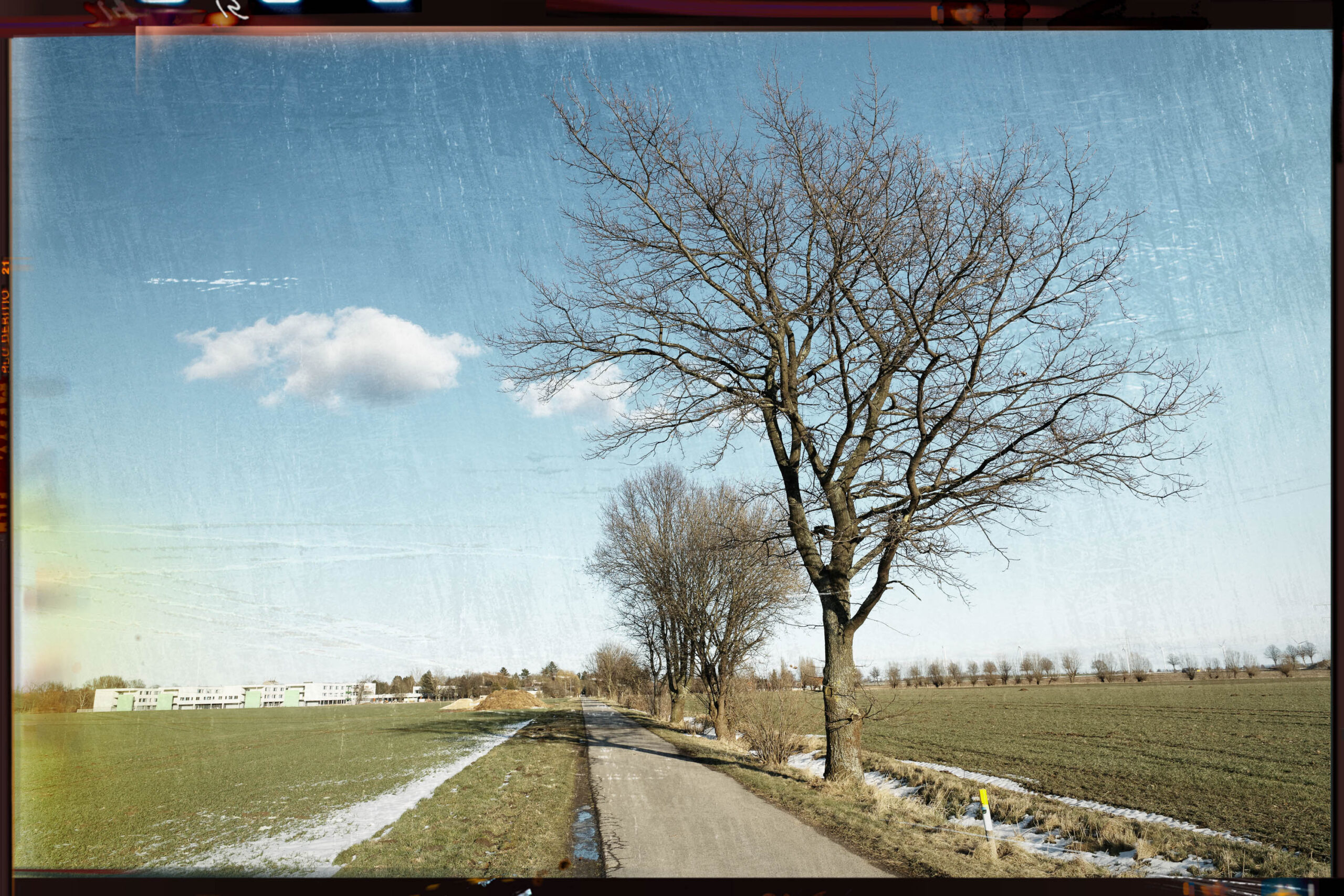 Das Foto zeigt eine winterliche Landschaft in Pattensen, Calenberger Land. Ein Feldweg schlängelt sich durch ein Feld, das mit einer dünnen Schicht Schnee bedeckt ist. Entlang des Weges stehen Bäume, deren Äste kahl sind. Im Hintergrund sind Gebäude zu erkennen, die vermutlich Wohnhäuser sind. Der Himmel ist blau und von vereinzelten Wolken durchzogen. Die Szene vermittelt eine ruhige und friedliche Atmosphäre.