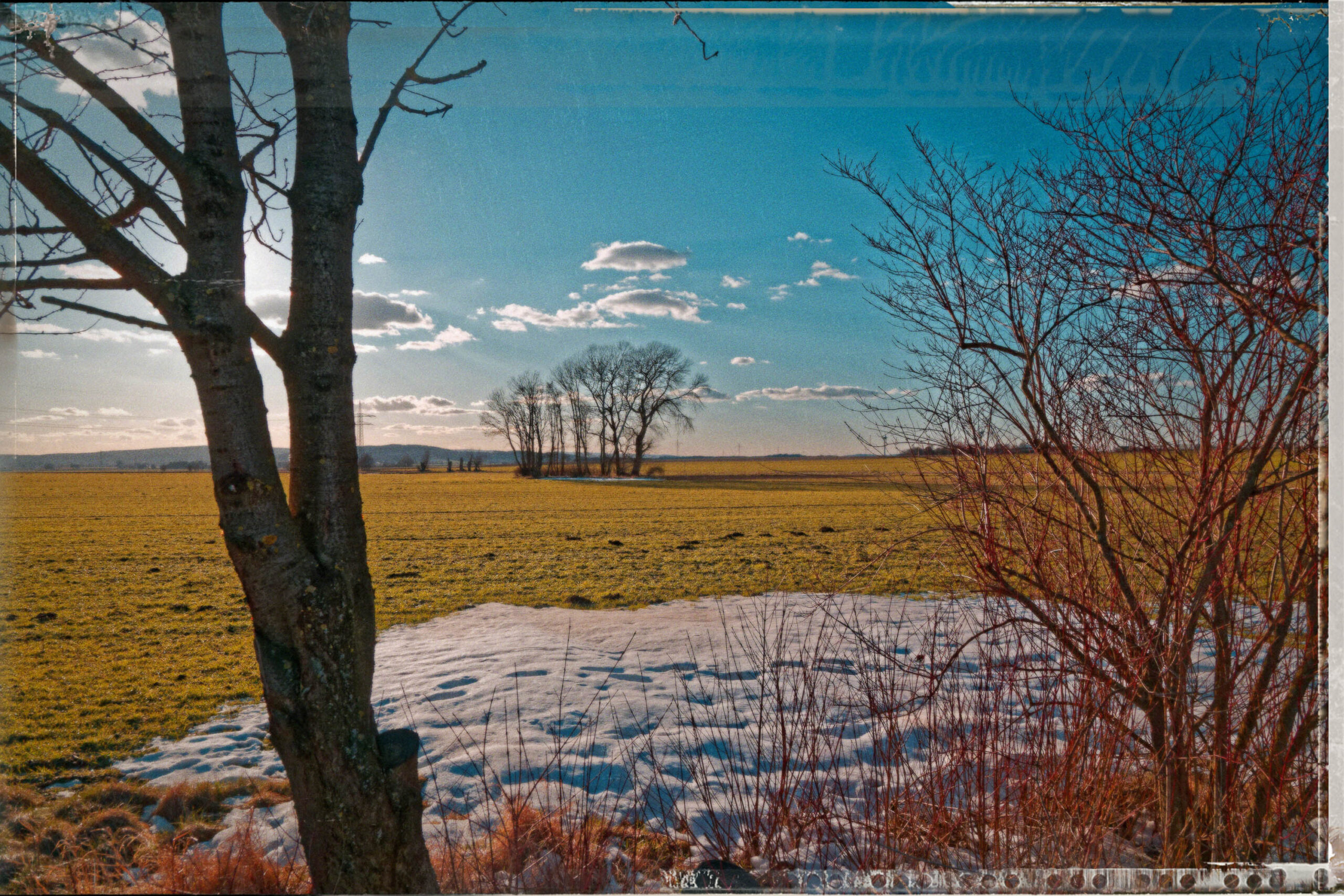 Die Aufnahme zeigt eine weite Landschaft im Calenberger Land, vermutlich in der Nähe von Pattensen. Es ist ein Feld, das größtenteils mit Schnee bedeckt ist, aber auch grüne Flecken zeigen, was auf den Beginn des Frühlings hindeutet. Einige vereinzelte Bäume stehen im Feld, ihre Äste sind noch kahl. Der Himmel ist strahlend blau mit vereinzelten weißen Wolken. Die Komposition ist durch die Büsche und den Baum im Vordergrund gerahmt, die einen natürlichen Rahmen bilden und die Perspektive lenken. Die Aufnahme wirkt ruhig und friedlich, vermittelt ein Gefühl von Weite und Stille.