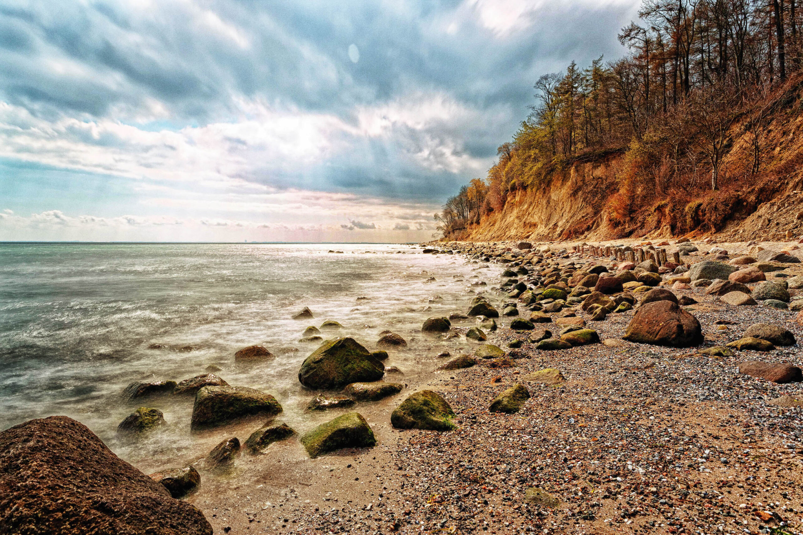 Das Bild zeigt eine Küstenlandschaft an der Ostsee. Im Vordergrund liegt ein Kiesstrand, übersät mit Felsen unterschiedlicher Größe. Das Wasser der Ostsee ist leicht trüb und bewegt sich sanft. Im Hintergrund erheben sich hohe, bewaldete Klippen, deren Hänge in Herbstfarben leuchten. Der Himmel ist bedeckt und von Wolken bedeckt, was eine ruhige und etwas melancholische Stimmung erzeugt. Die Szene vermittelt den Eindruck einer unberührten Naturlandschaft.