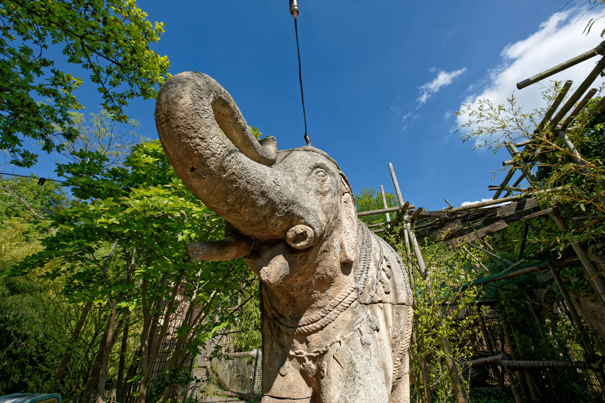 Zoo… mit 14mm!