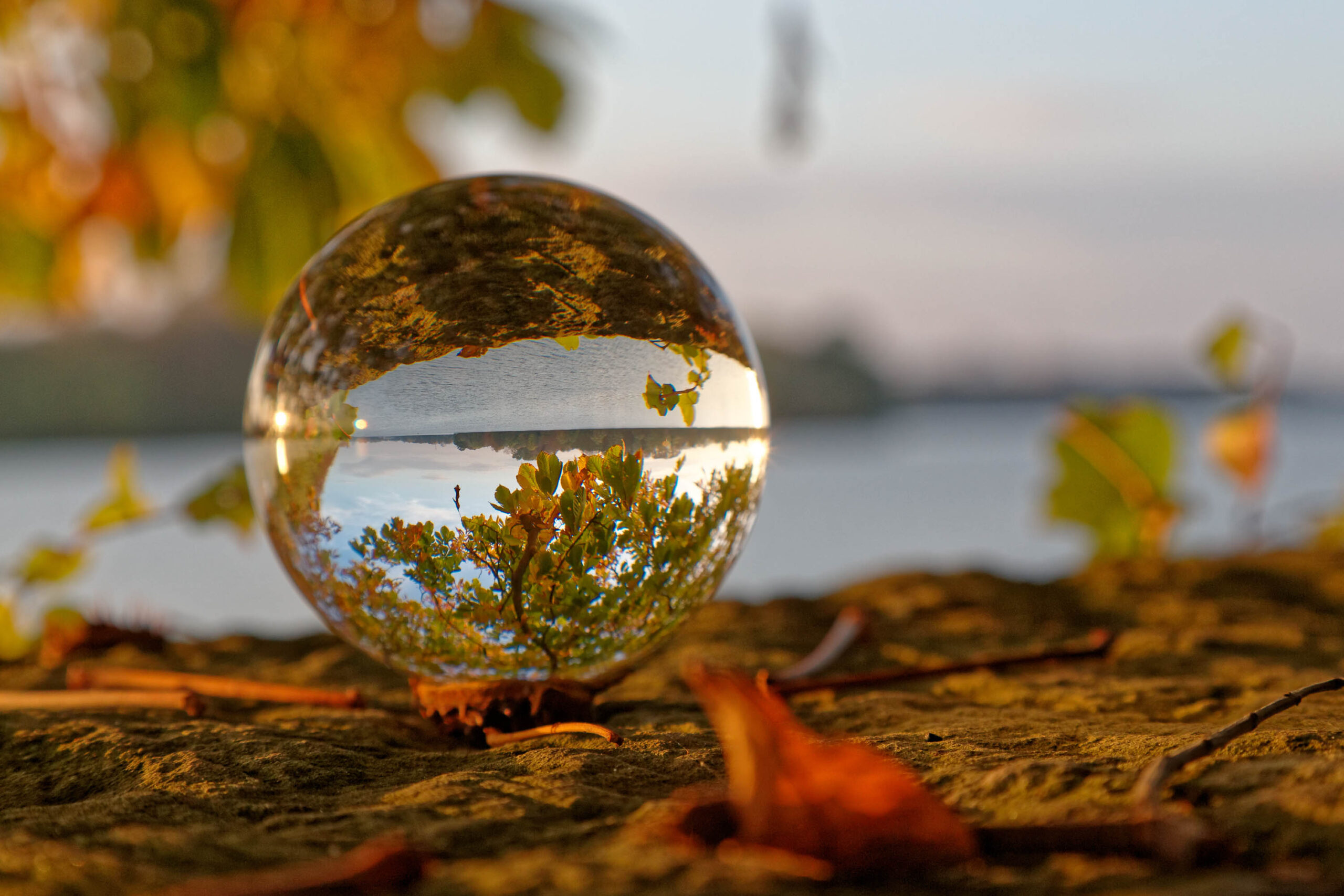 Das Bild zeigt einen Kugelreflektor, der auf einem Boden aus Erde und Herbstlaub liegt. Der Kugelreflektor reflektiert eine verschwommene Landschaft, die Bäume und Wasser zeigt. Der Himmel ist leicht bewölkt und die Farben sind warm und golden. Die Szene vermittelt eine ruhige und friedliche Atmosphäre.