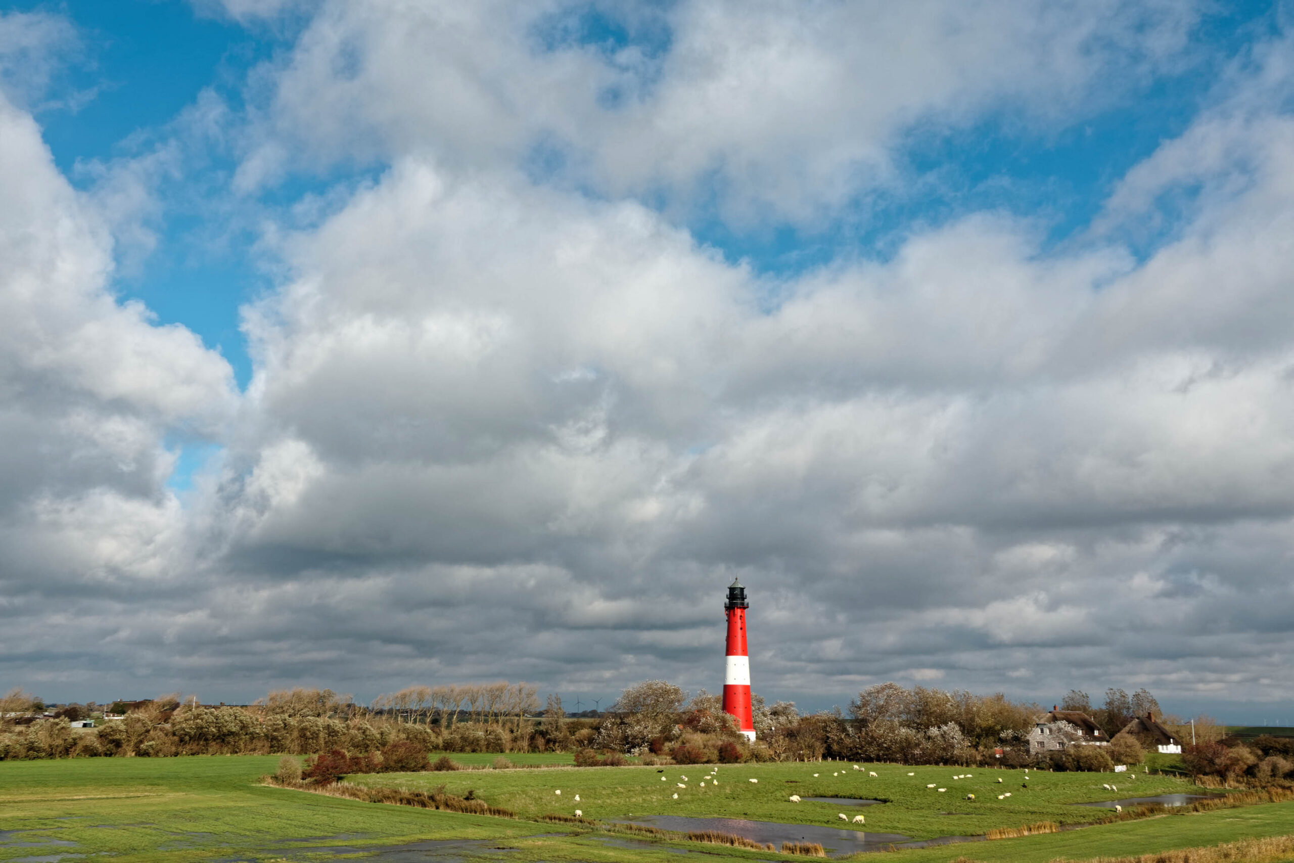 Die Aufnahme zeigt eine typische Landschaft von Pellworm, einer nordfriesischen Insel in der Nordsee. Im Zentrum steht der markante Leuchtturm, der sich hoch in den Himmel erhebt. Die Landschaft ist geprägt von einer grünen Wiese, auf der eine Herde Schafe weidet. Im Hintergrund sind einige Bäume und Häuser zu erkennen. Der Himmel ist bewölkt, was der Szene eine etwas melancholische Stimmung verleiht. Die Aufnahme wurde im Oktober 2019 aufgenommen.