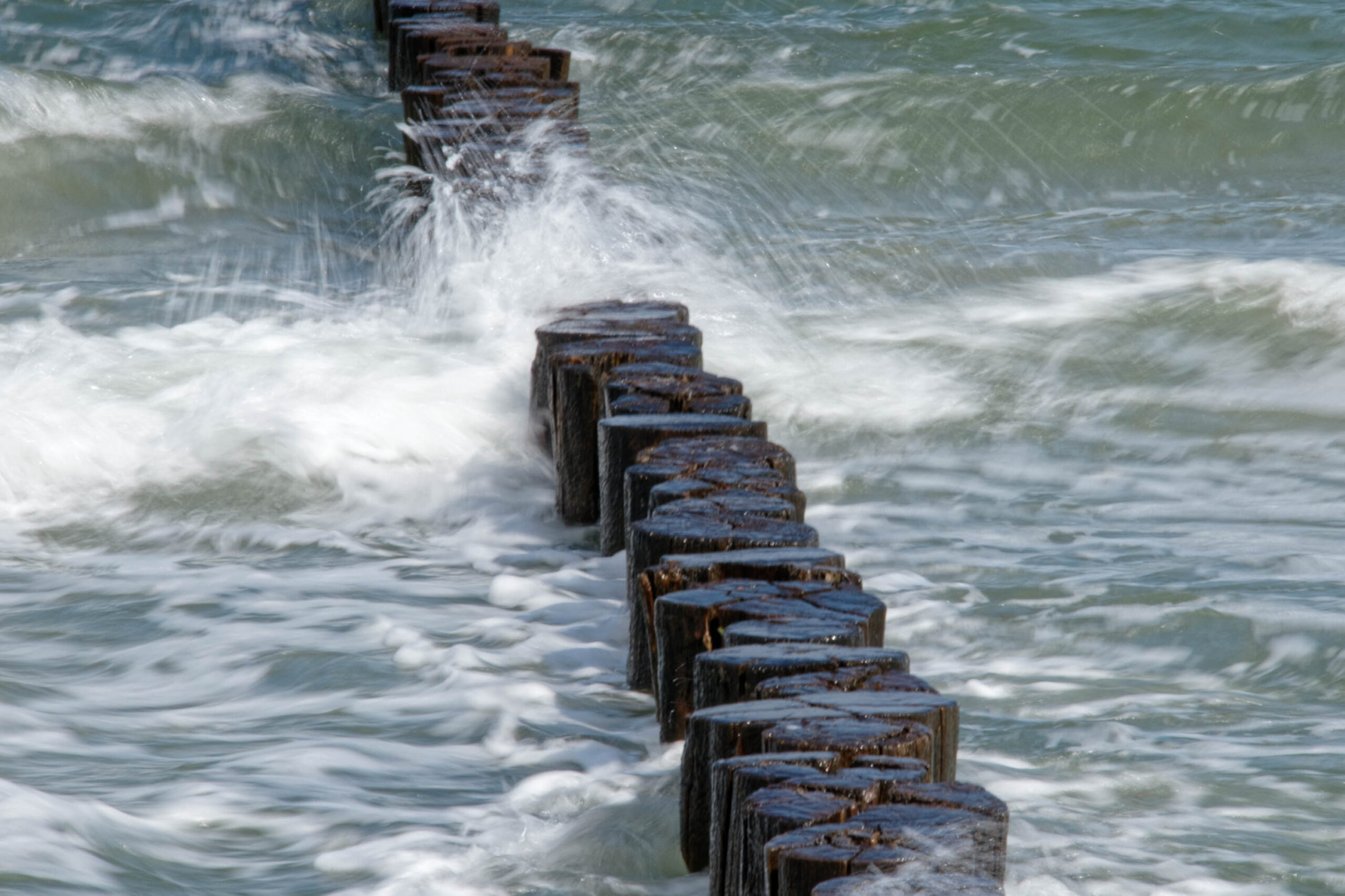 Das Bild zeigt eine Reihe von Holzpfählen, die aus dem Wasser ragen. Die Pfähle sind Teil eines alten Mole oder einer Wellenbrecherstruktur. Das Wasser ist aufgewühlt und schlägt mit Gischt und Wellen um die Pfähle. Die Szene vermittelt ein Gefühl von Bewegung und Kraft. Der Himmel ist nicht sichtbar, aber das Licht deutet auf einen sonnigen Tag hin. Der Kontext des Bildes ist Zingst, Ostsee, Strand, Juli 2019.