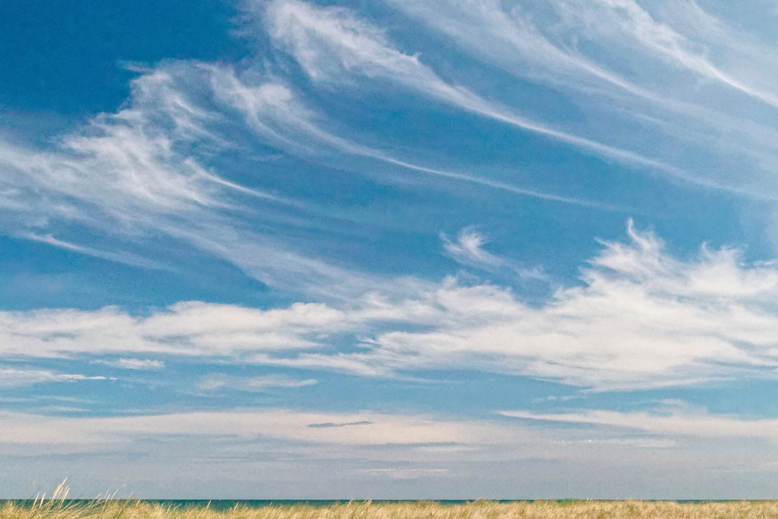 Das Foto zeigt einen weiten Blick über ein Grasland, das bis zum Horizont reicht. Der Himmel ist strahlend blau und von feinen, weißen Cirruswolken durchzogen, die in langen, zarten Bahnen verlaufen. Das Gras ist goldgelb und wiegt sich leicht im Wind. Die Szene vermittelt ein Gefühl von Weite, Ruhe und Harmonie. Es ist ein typischer Anblick am Weststrand des Darß in der Ostsee.