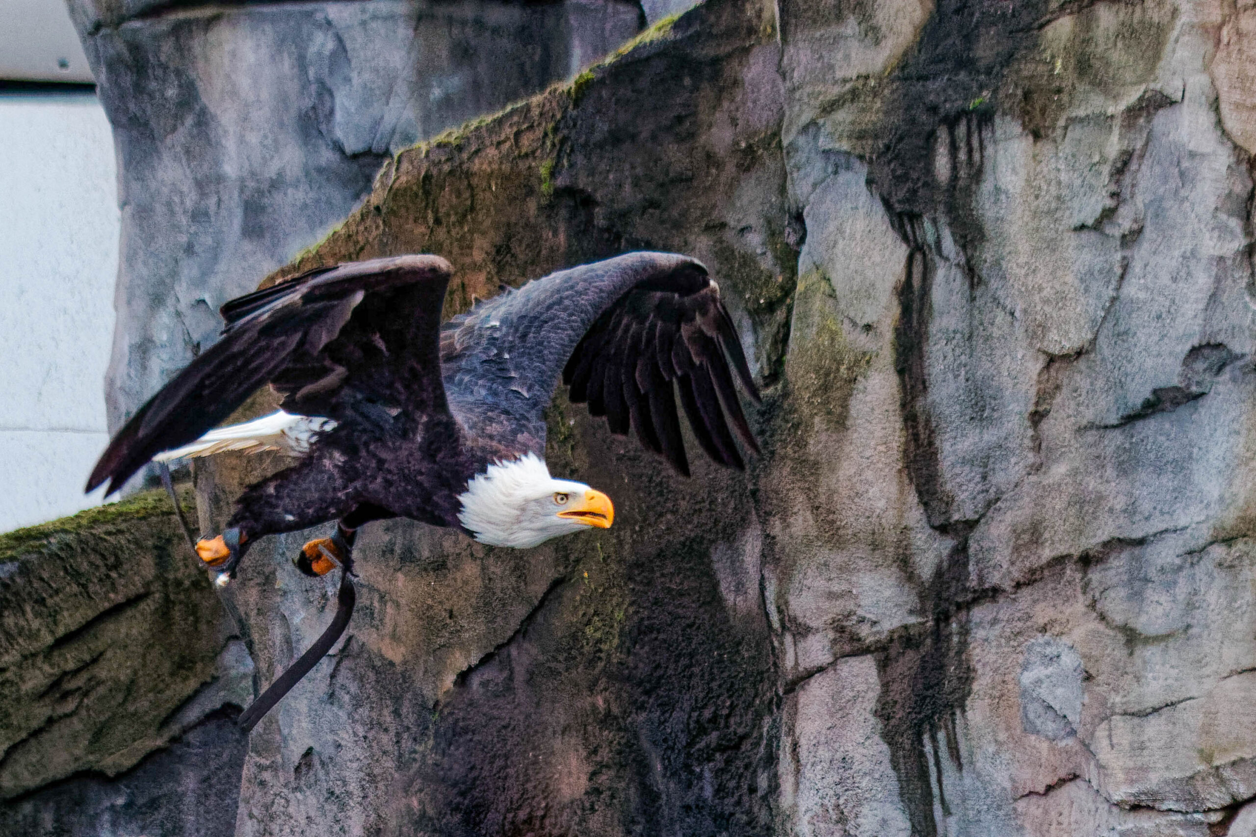 Zoo-Ausflug