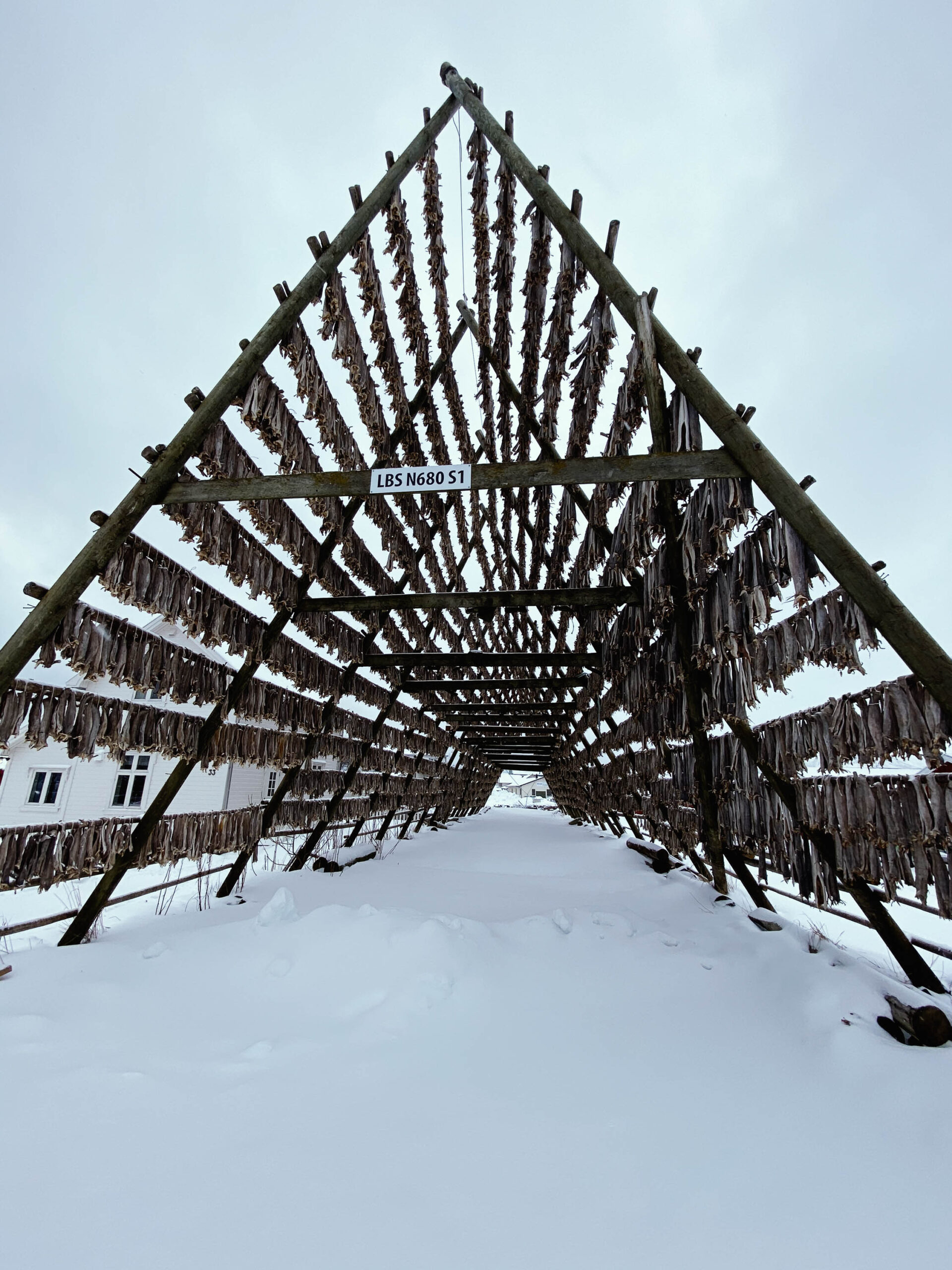 Die Aufnahme zeigt ein traditionelles norwegisches Fischhaus (Røykestue) im Lofoten-Archipel. Das Gebäude ist aus Holz und hat eine markante Dachkonstruktion, die mit zahlreichen Kabeljaukfischtrossen bestückt ist. Die Trossen hängen von der Decke und sind mit einer Schicht aus Schnee bedeckt. Im Hintergrund ist ein weiteres Gebäude mit weißen Wänden und schwarzen Fensterrahmen zu sehen. Der Schnee bedeckt den Boden und die umliegende Landschaft. Die Aufnahme wurde im März 2020 aufgenommen.