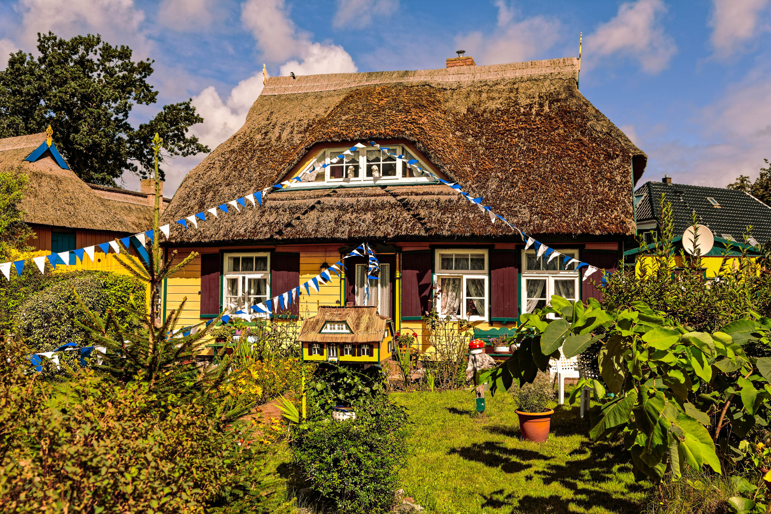 Das Bild zeigt ein charmantes, traditionelles norddeutsches Reetdachhaus. Das Haus ist in einem warmen Farbton gestrichen, mit dunkelroten Fensterrahmen und weißen Fensterläden. Eine blaue und weiße Wimpelgirlande schmückt die Fassade und den Dachrand, was dem Bild eine festliche Atmosphäre verleiht. Das Haus ist von einem üppigen Garten umgeben, der eine Mischung aus heimischen und exotischen Pflanzen enthält, darunter Bananenstauden und verschiedene Blumen. Im Hintergrund sind weitere Häuser und Bäume zu sehen. Das Bild wurde an einem sonnigen Tag mit blauem Himmel und vereinzelten Wolken aufgenommen. Es vermittelt ein Gefühl von Ruhe, Tradition und ländlichem Charme.