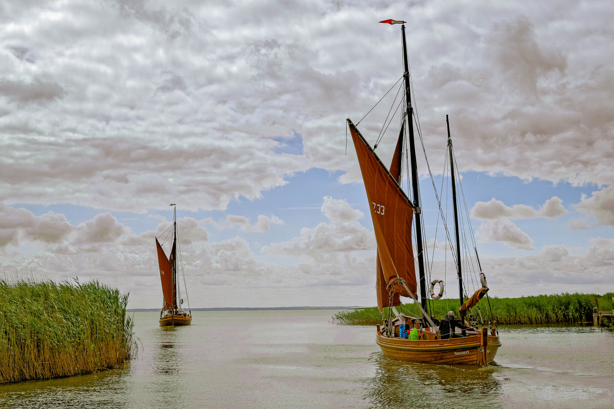 Das Bild zeigt zwei traditionelle Segelschiffe, die auf einem ruhigen Gewässer segeln. Die Schiffe sind mit traditionellen Segeln ausgestattet und haben einen markanten Mast. Die Schiffe sind von dichter Schilflandschaft umgeben. Der Himmel ist bewölkt und erzeugt eine dramatische Atmosphäre. Das Bild wurde während einer Fotosafari im Juli 2020 auf Fischland-Darß-Zingst aufgenommen.