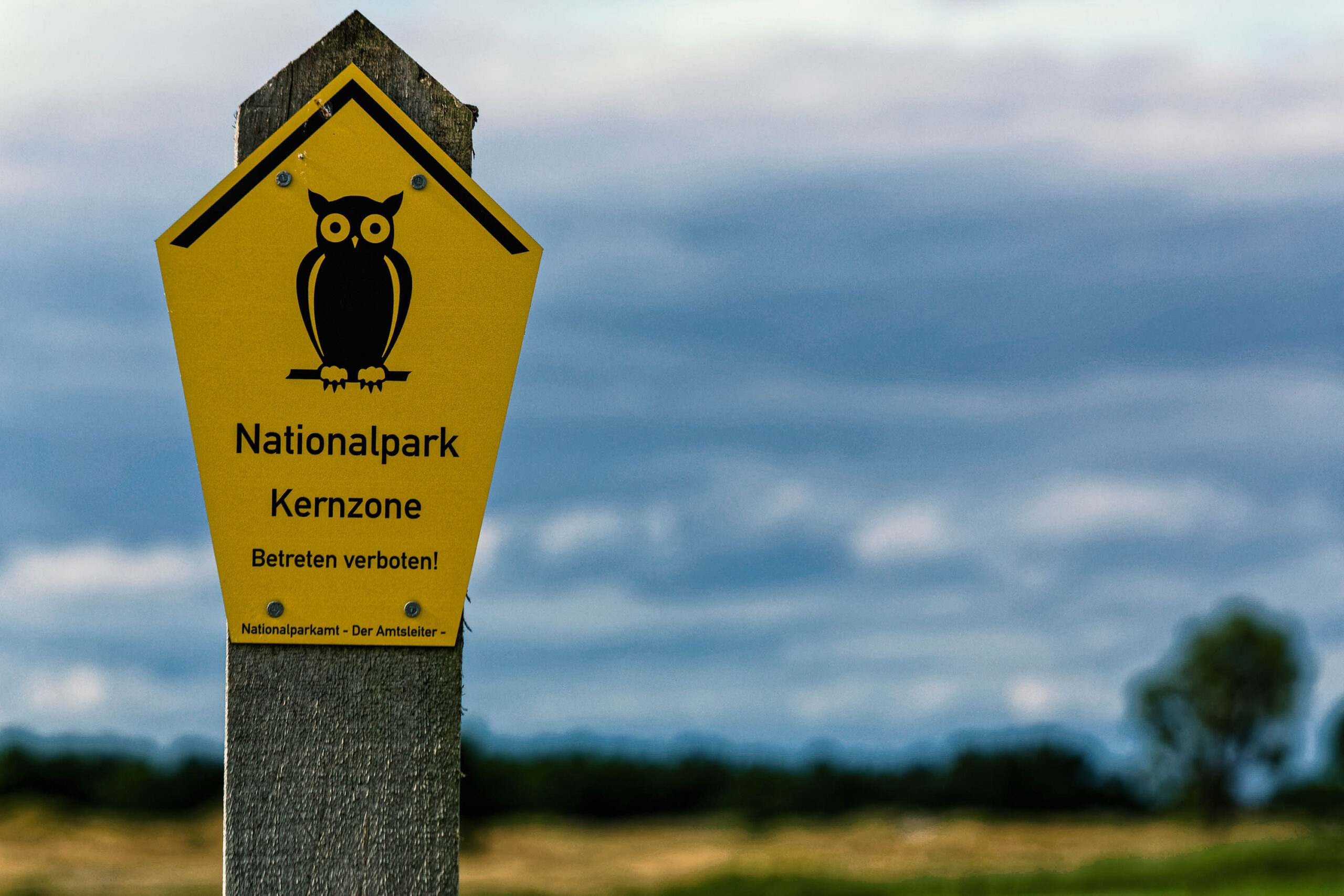 Das Bild zeigt ein gelbes Warnschild, das an einem Holzpfosten befestigt ist. Das Schild ist mit einer stilisierte Eule und dem Text „Nationalpark Kernzone Betreten verboten“ beschriftet. Im Hintergrund ist ein See oder eine Bucht zu erkennen, deren Wasser sich in einem dunklen Blau bis Grau erstreckt. Der Himmel ist bewölkt, was eine gedämpfte Lichtstimmung erzeugt. Links und rechts des Schildes sind Bäume und Büsche zu sehen, die den Horizont bilden. Das Bild wurde wahrscheinlich im Sommer aufgenommen, da die Vegetation üppig ist.