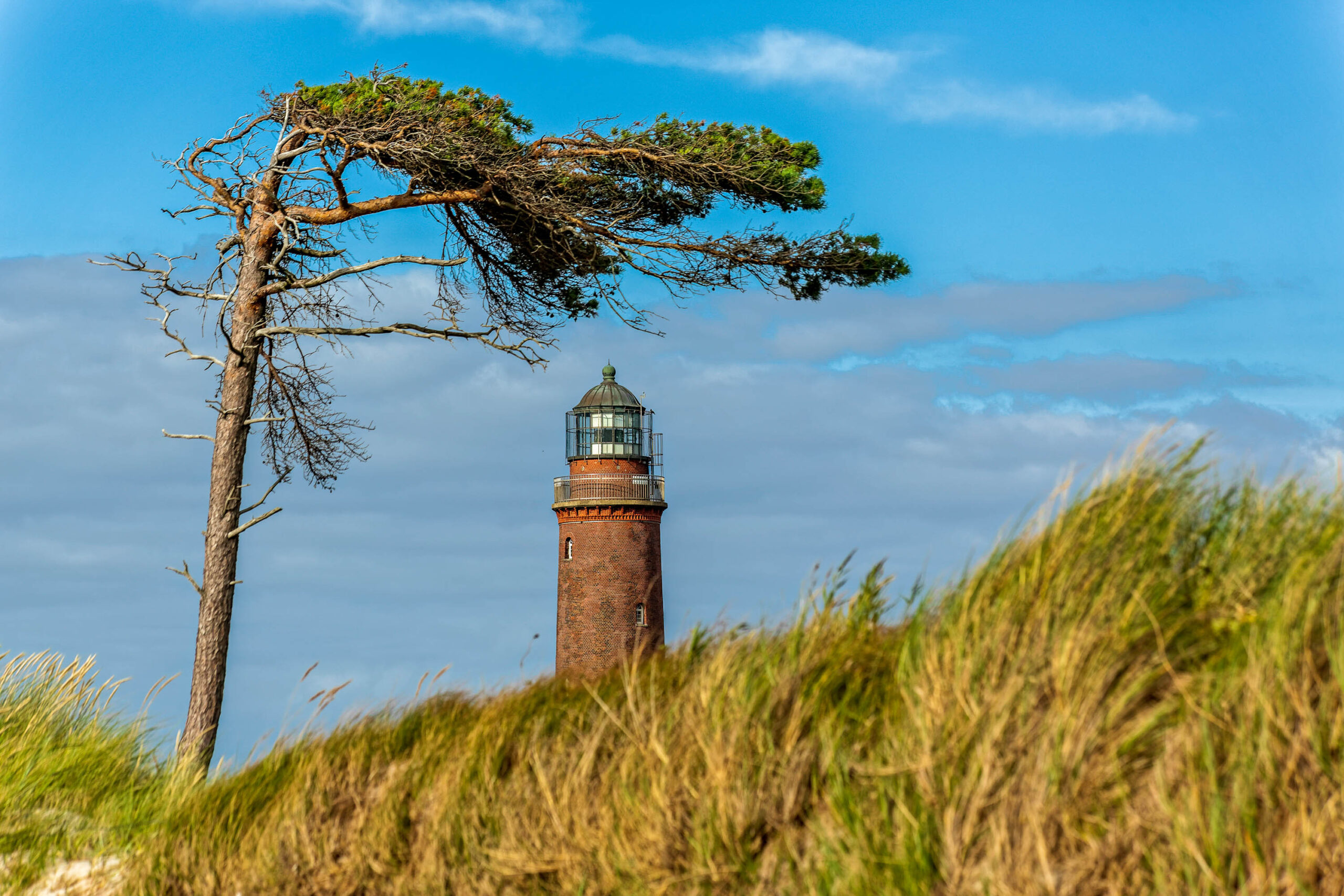 Fotosafari Fischland-Darß