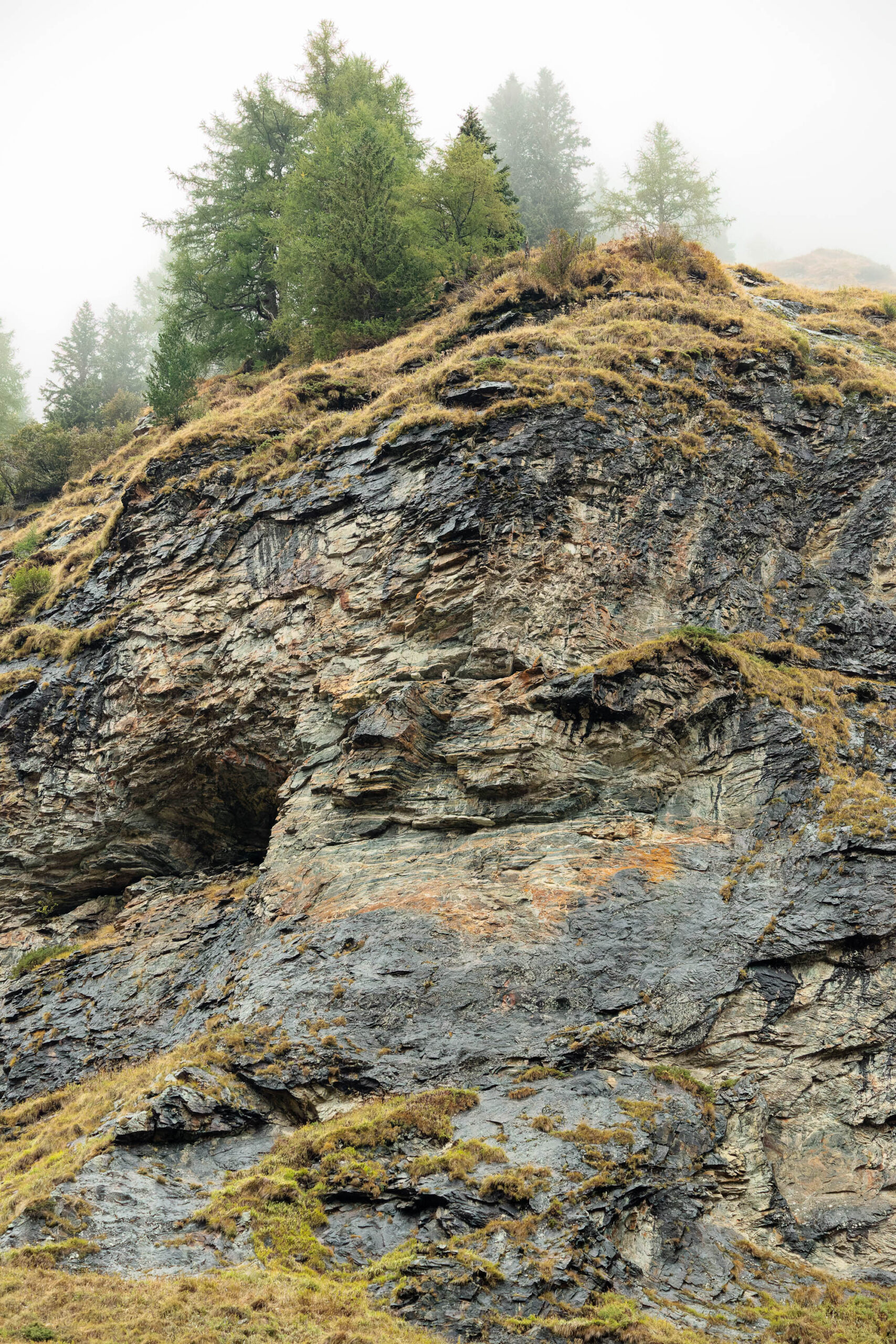 Das Bild zeigt eine steile Felswand in den Hohen Tauern, aufgenommen im September 2022. Die Felswand ist überwiegend dunkelgrau bis schwarz und weist deutliche Schichtungen auf.  Auf der Oberseite der Felswand wachsen vereinzelte Büsche und einige junge Bäume. Die Vegetation ist spärlich und weist eine gelbliche bis bräunliche Färbung auf, vermutlich aufgrund der Jahreszeit und der Witterungsbedingungen. Der Himmel ist bedeckt und es scheint zu regnen, was die Szene in eine düstere und feuchte Atmosphäre hüllt. Die Aufnahme deutet auf die Anwesenheit von Bartgeiern in der Region hin.