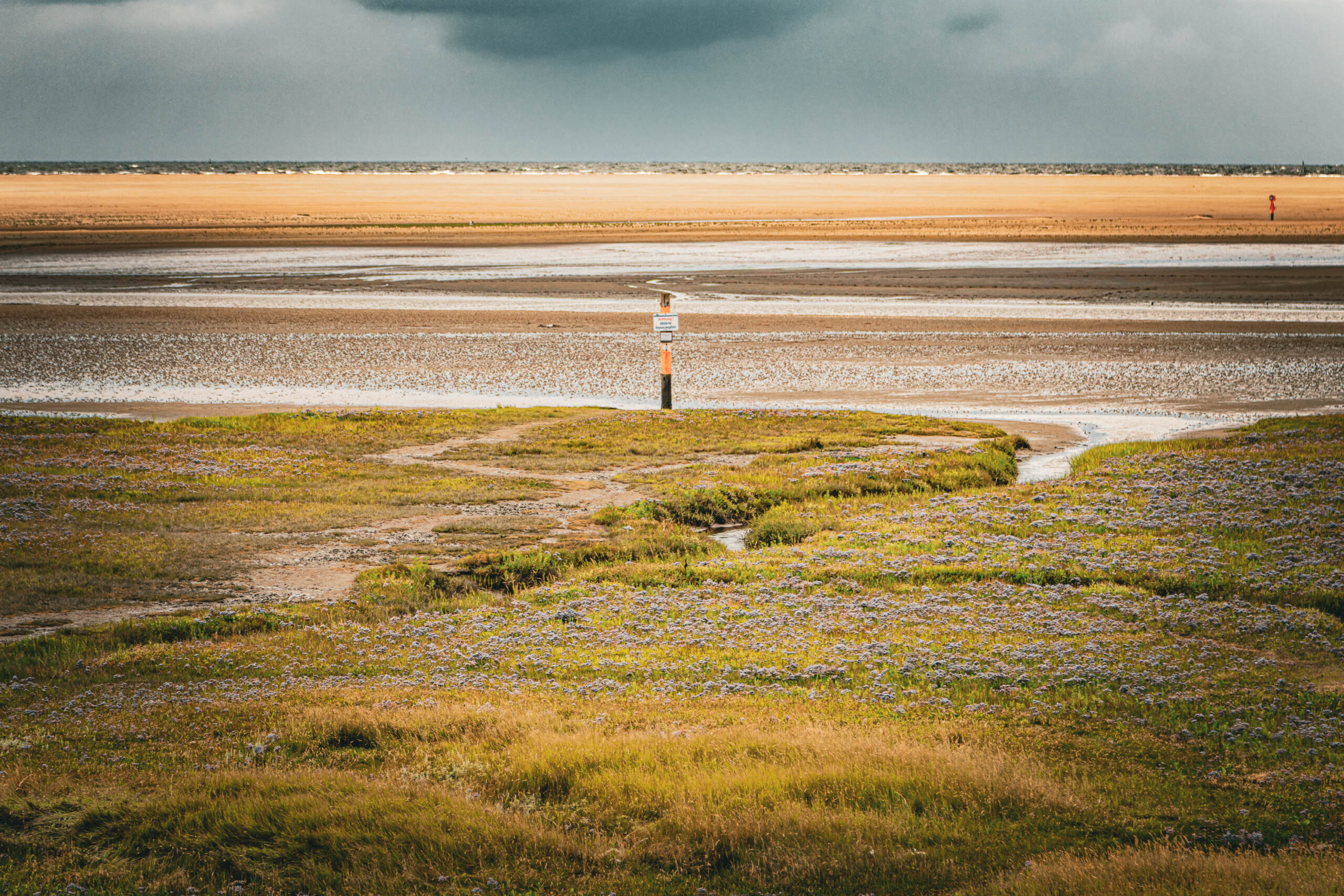 Die Aufnahme zeigt eine typische Landschaft von St. Peter-Ording an der Nordsee. Bei Ebbe sind die weiten Wattflächen sichtbar, die sich bis zum Horizont erstrecken. Das Grasland im Vordergrund ist in verschiedenen Grüntönen und Brauntönen gehalten, durchsetzt mit blühenden Pflanzen. Ein schmaler Weg schlängelt sich durch das Grasland und führt zum Horizont, wo ein einzelner Pfosten steht. Der Himmel ist bedeckt und erzeugt eine ruhige, fast melancholische Atmosphäre. Die Szene vermittelt ein Gefühl von Weite, Stille und der Kraft der Natur.